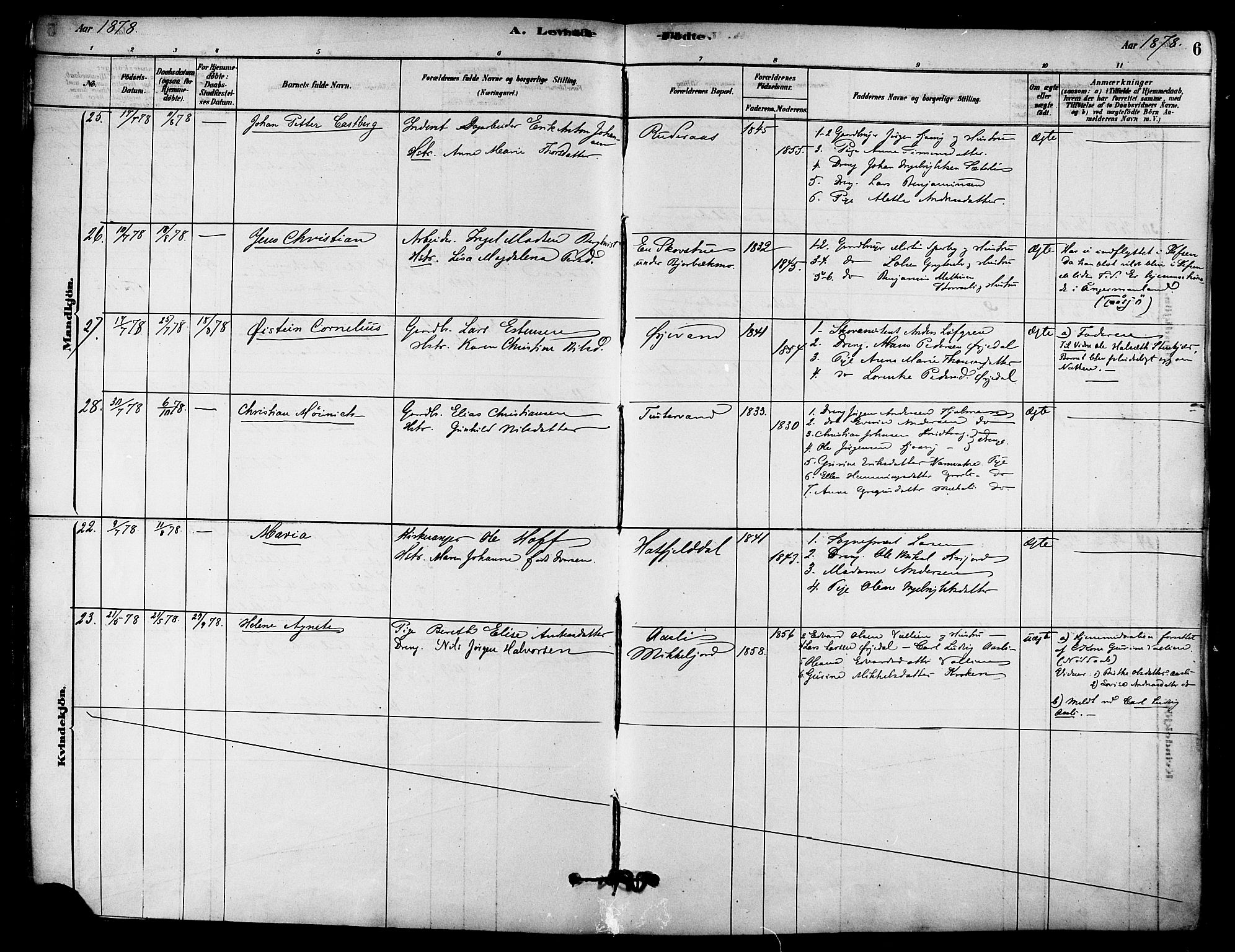 Ministerialprotokoller, klokkerbøker og fødselsregistre - Nordland, AV/SAT-A-1459/823/L0325: Parish register (official) no. 823A02, 1878-1898, p. 6