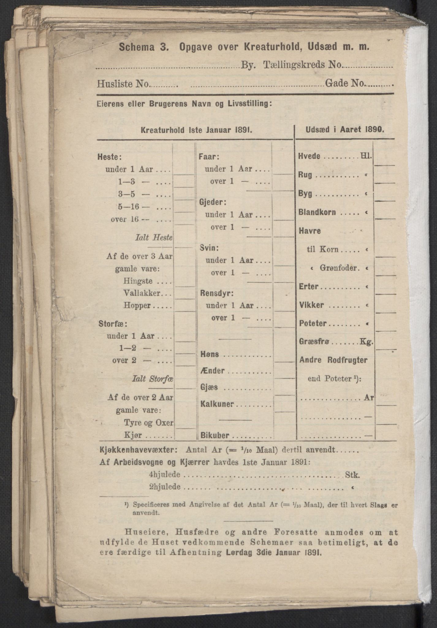 RA, 1891 Census for 1301 Bergen, 1891, p. 3148
