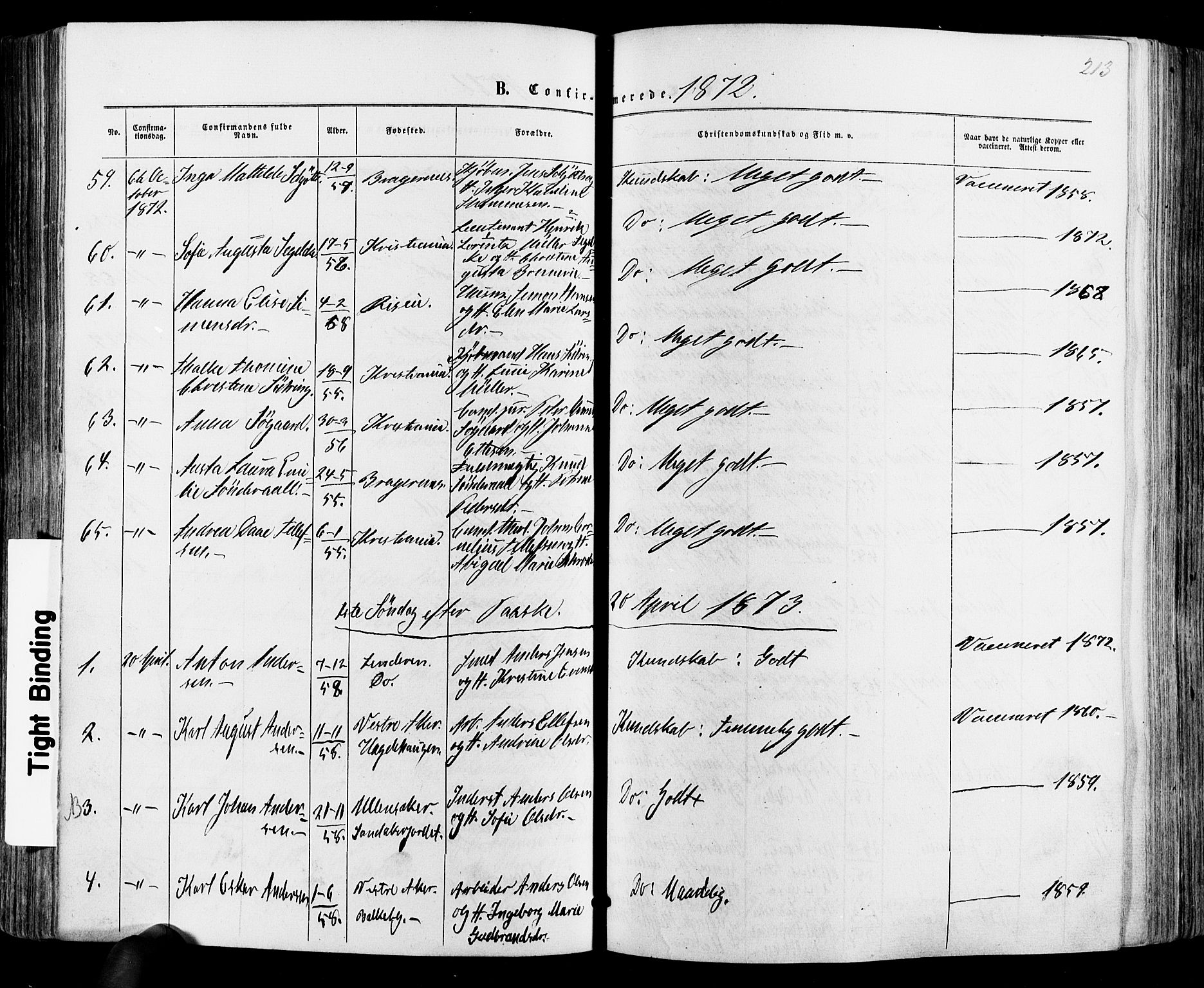 Vestre Aker prestekontor Kirkebøker, SAO/A-10025/F/Fa/L0005: Parish register (official) no. 5, 1859-1877, p. 213
