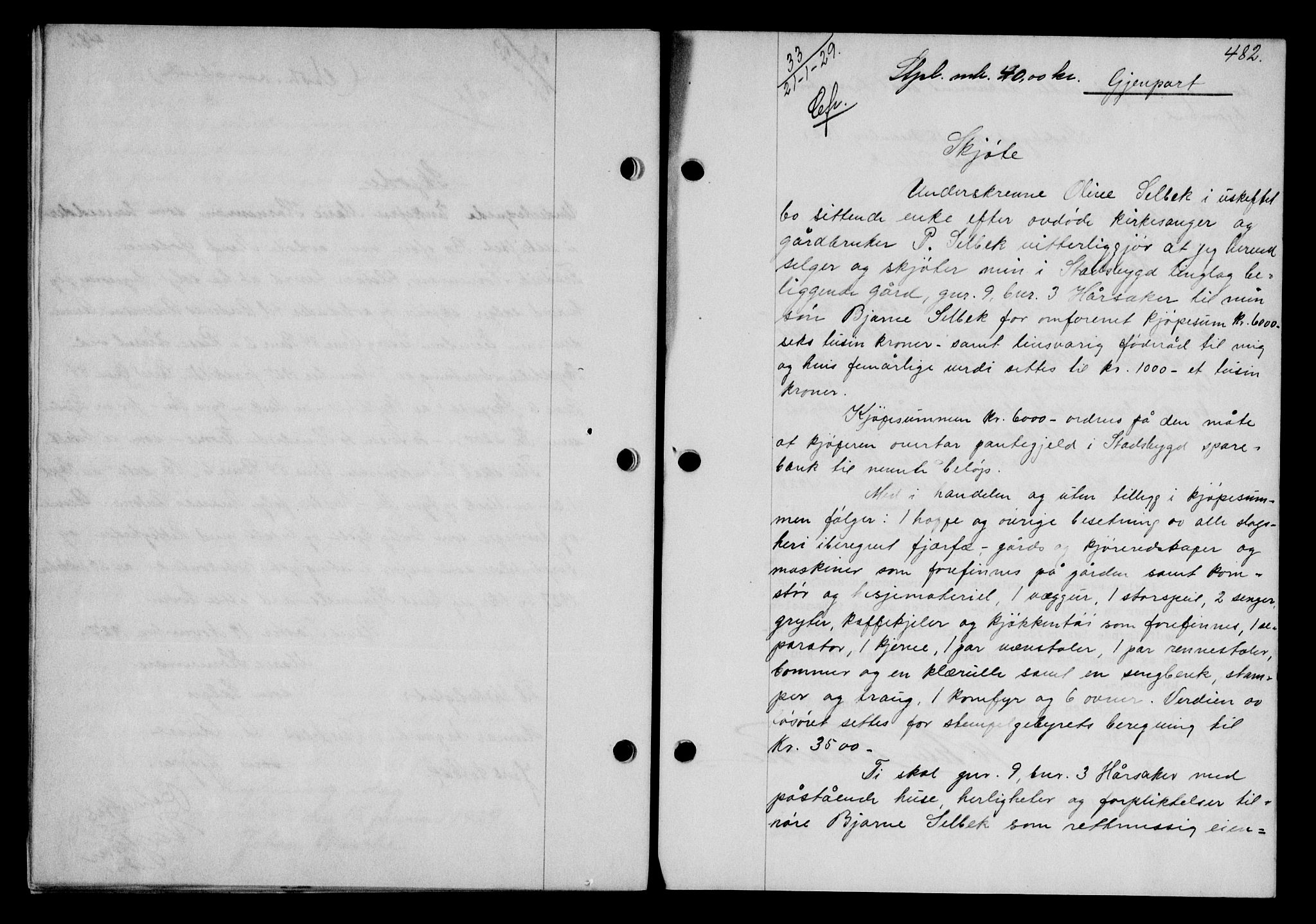 Fosen sorenskriveri, AV/SAT-A-1107/1/2/2C/L0067: Mortgage book no. 58, 1928-1929, p. 482, Deed date: 21.01.1929