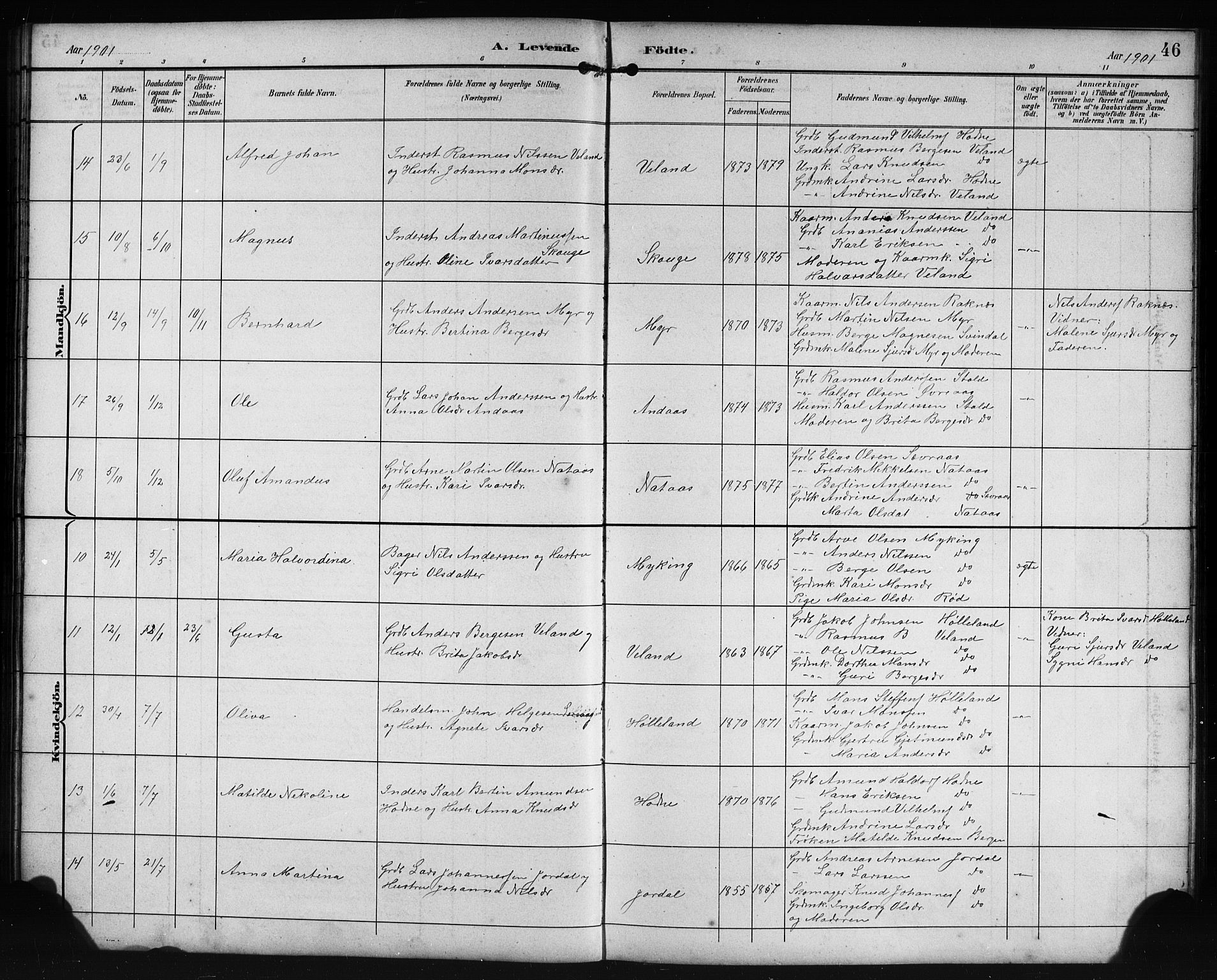 Lindås Sokneprestembete, SAB/A-76701/H/Hab: Parish register (copy) no. E 3, 1892-1905, p. 46