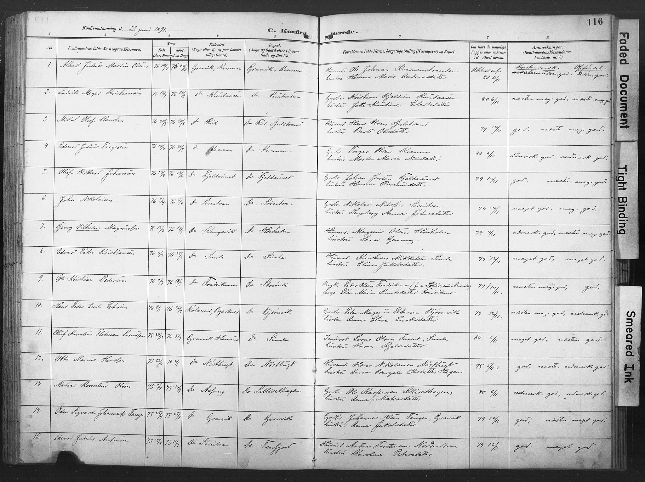 Ministerialprotokoller, klokkerbøker og fødselsregistre - Nord-Trøndelag, SAT/A-1458/789/L0706: Parish register (copy) no. 789C01, 1888-1931, p. 116