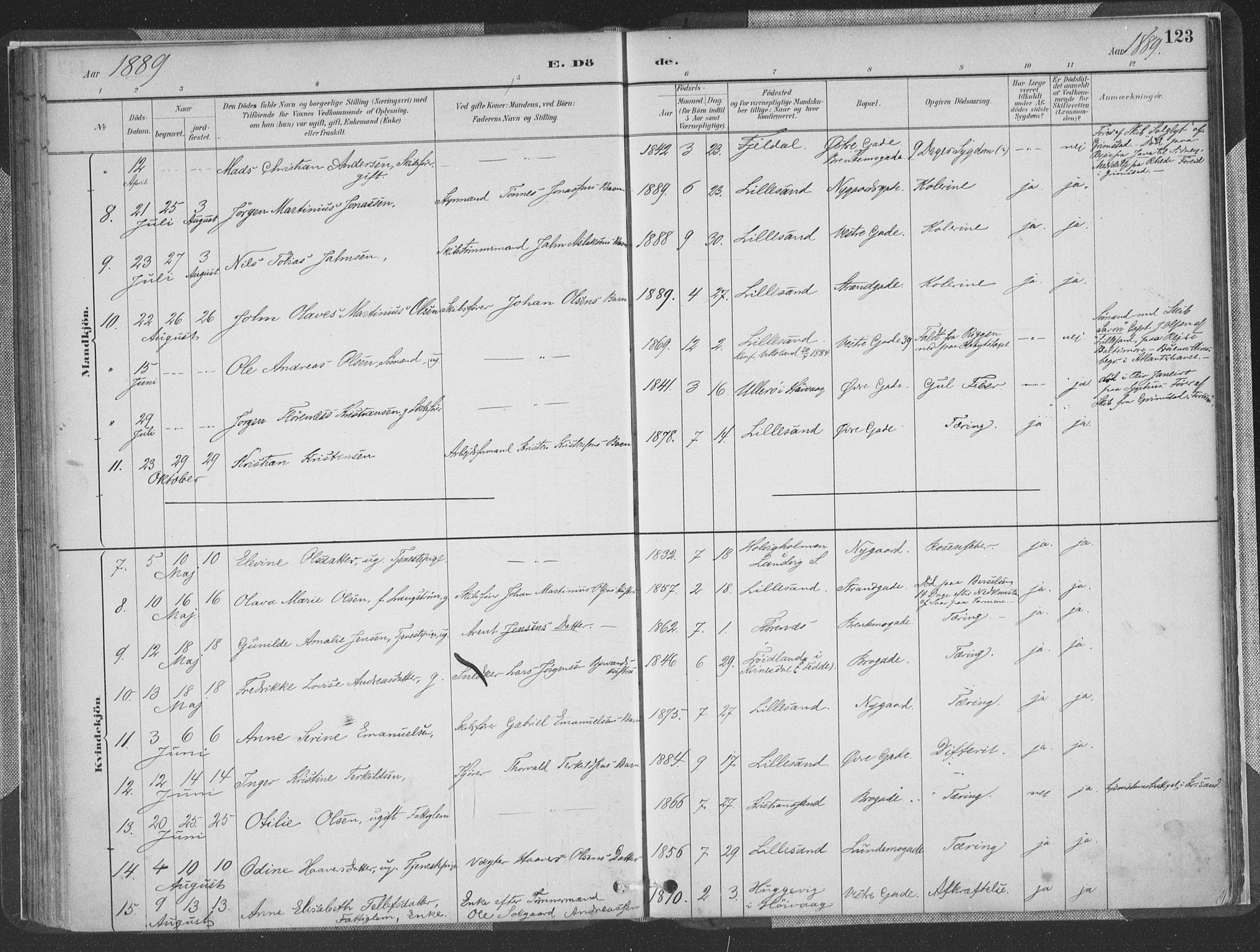 Vestre Moland sokneprestkontor, AV/SAK-1111-0046/F/Fa/Faa/L0001: Parish register (official) no. A 1, 1884-1899, p. 123