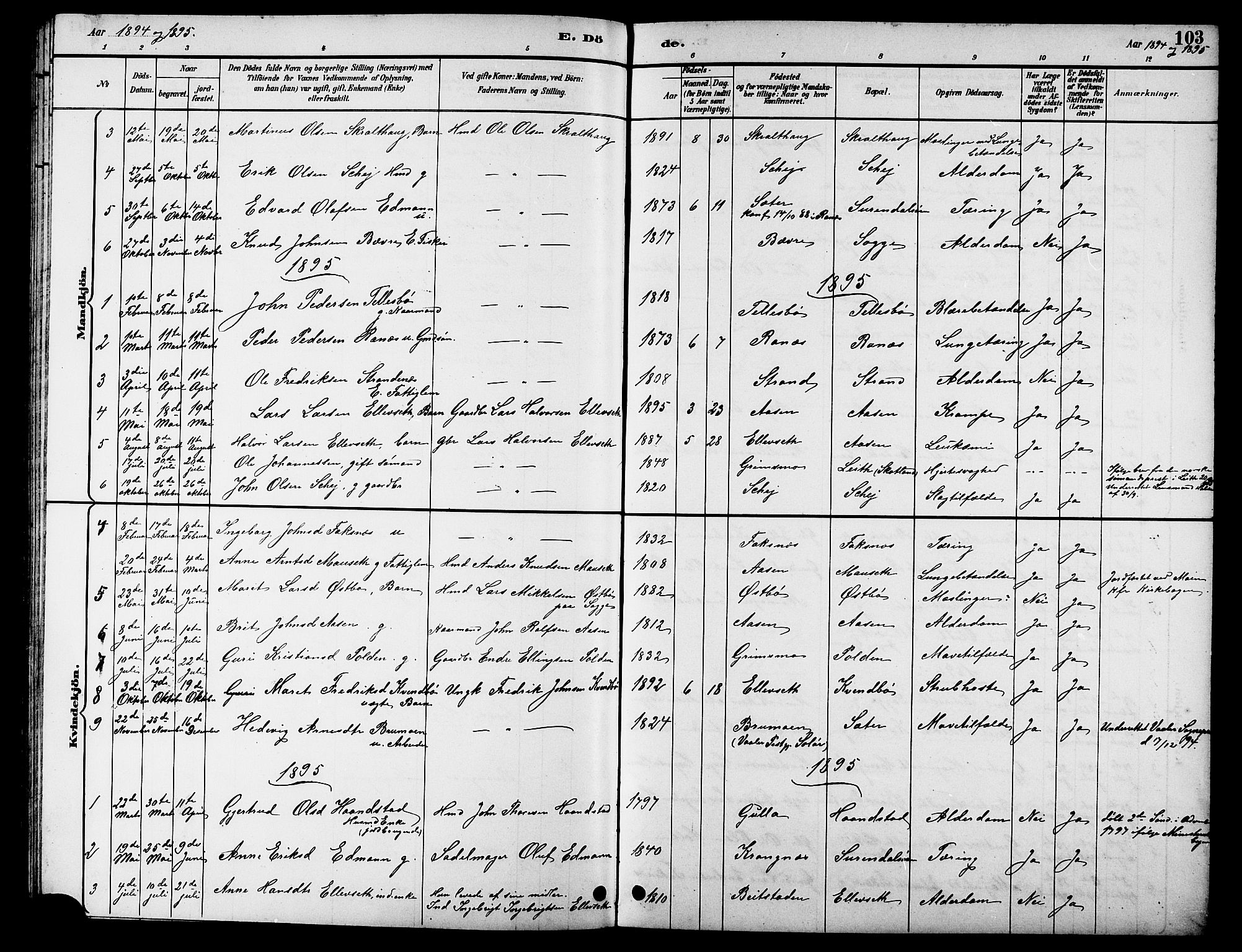 Ministerialprotokoller, klokkerbøker og fødselsregistre - Møre og Romsdal, AV/SAT-A-1454/596/L1058: Parish register (copy) no. 596C01, 1891-1907, p. 103