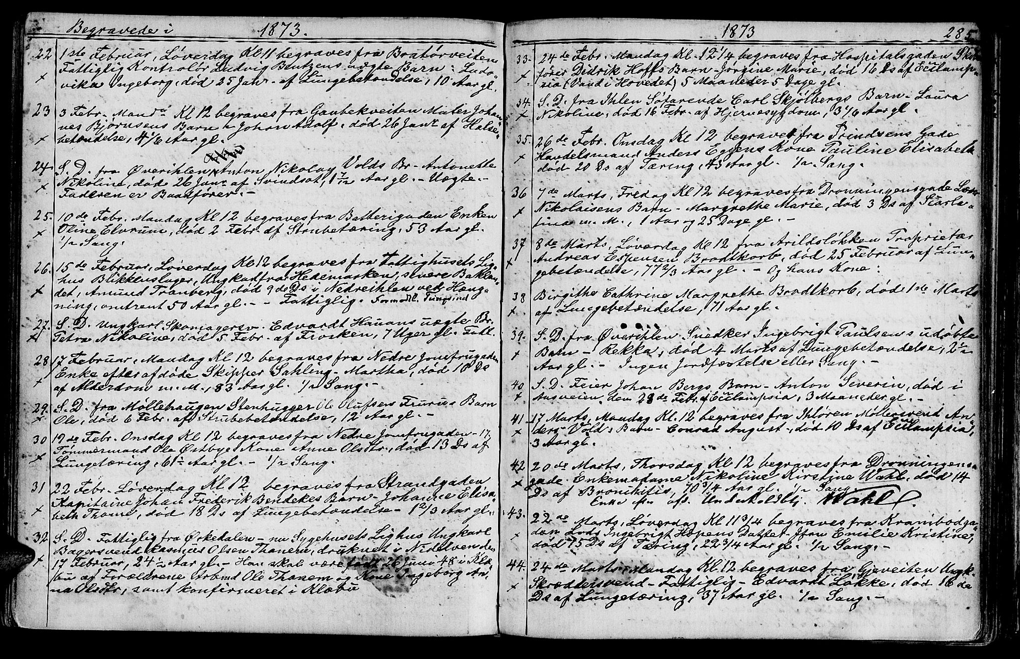 Ministerialprotokoller, klokkerbøker og fødselsregistre - Sør-Trøndelag, SAT/A-1456/602/L0142: Parish register (copy) no. 602C10, 1872-1894, p. 285
