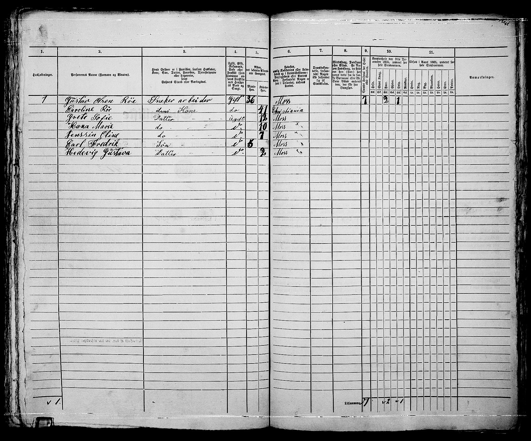 RA, 1865 census for Moss/Moss, 1865, p. 697