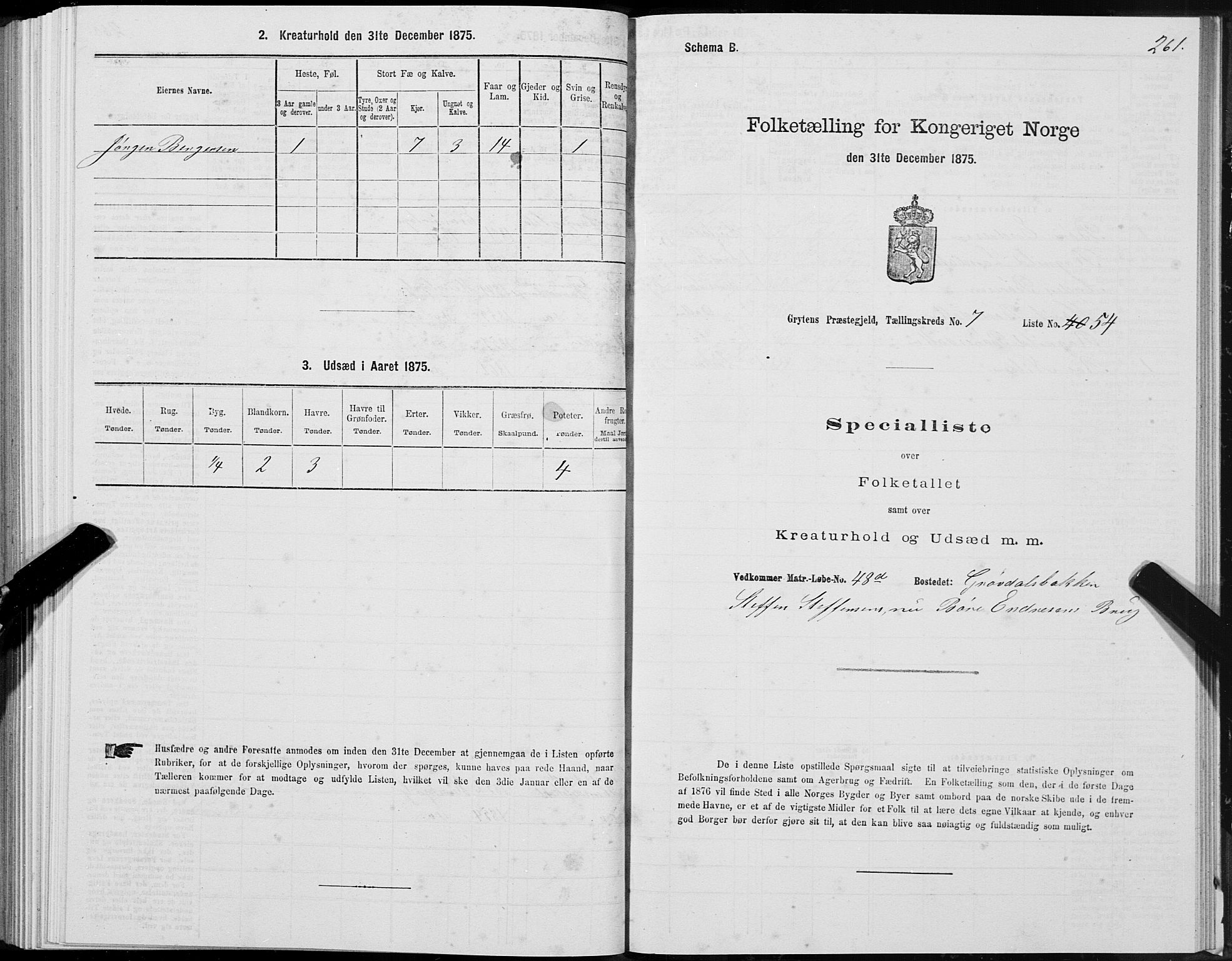 SAT, 1875 census for 1539P Grytten, 1875, p. 3261