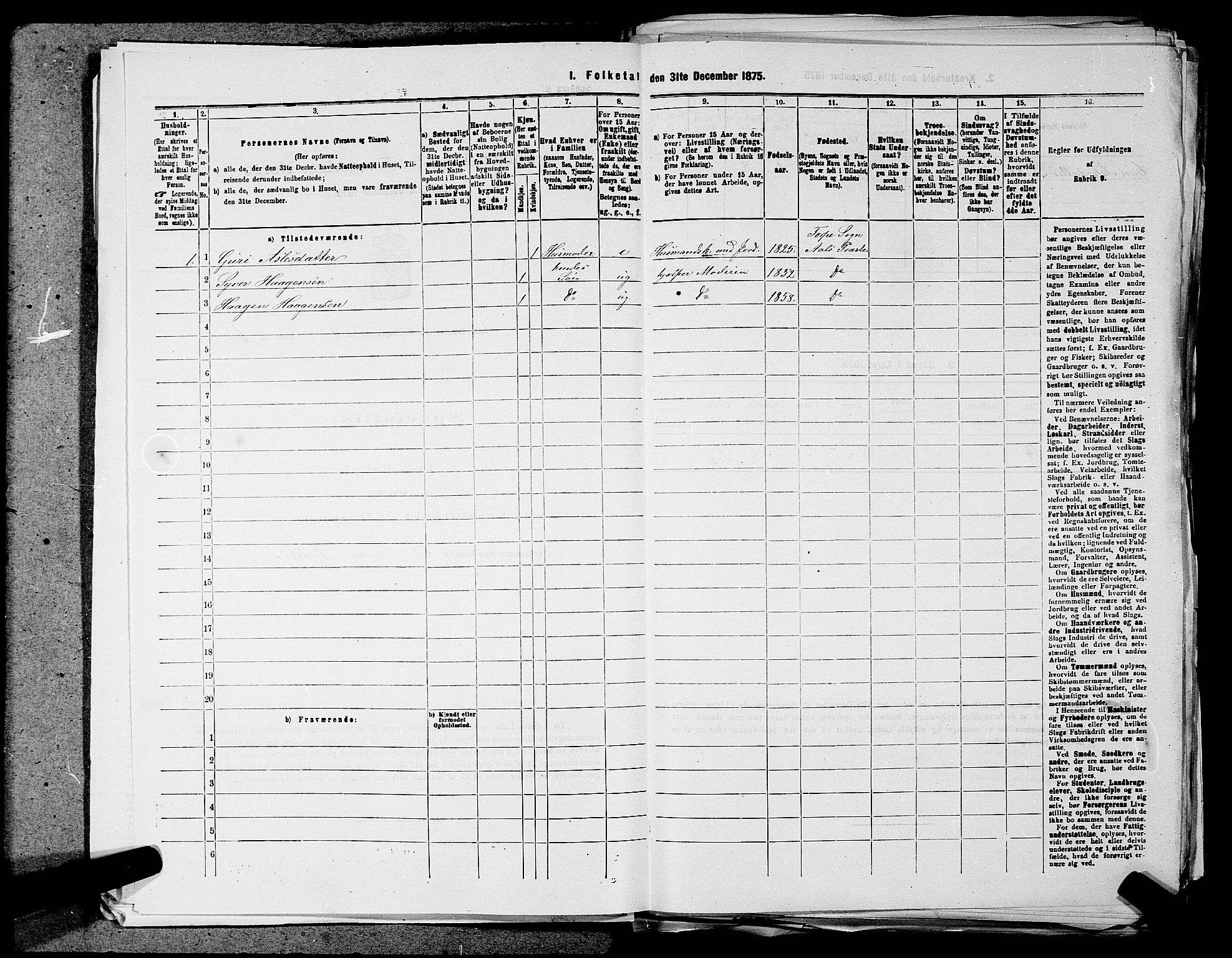 SAKO, 1875 census for 0619P Ål, 1875, p. 31