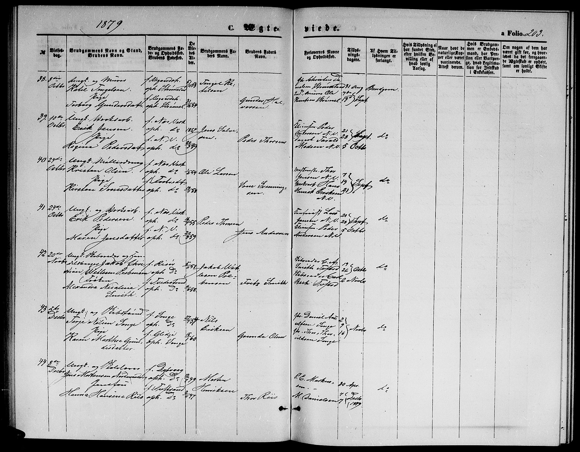Holt sokneprestkontor, SAK/1111-0021/F/Fb/L0009: Parish register (copy) no. B 9, 1871-1883, p. 203