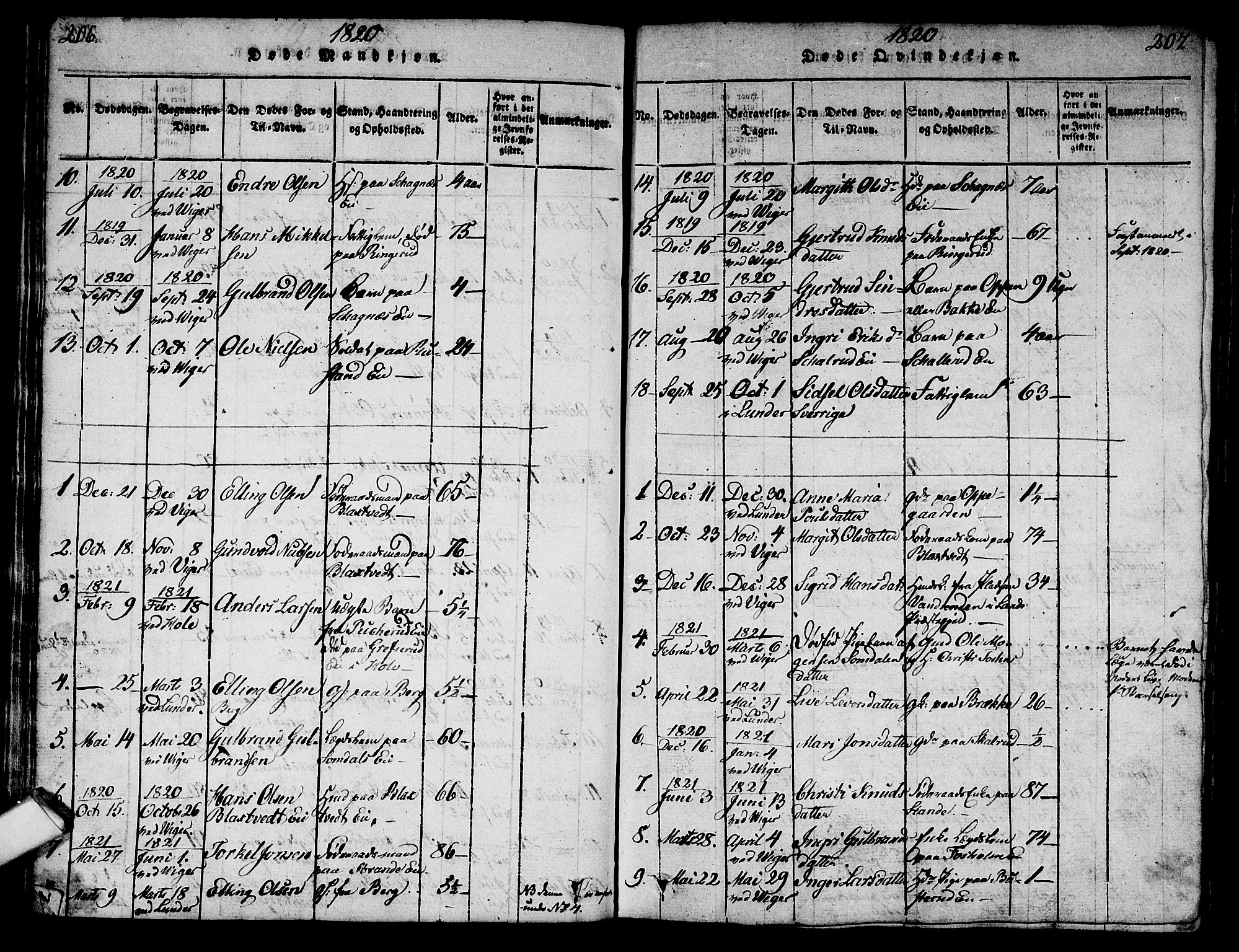 Norderhov kirkebøker, SAKO/A-237/G/Ga/L0003: Parish register (copy) no. I 3 /2, 1814-1876, p. 206-207