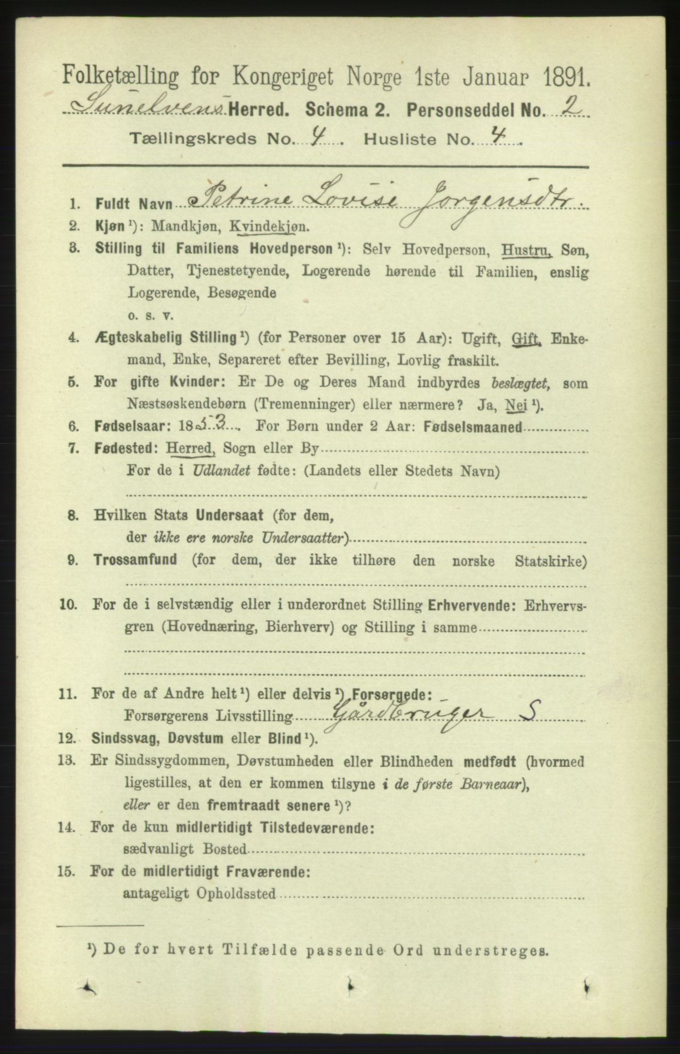 RA, 1891 census for 1523 Sunnylven, 1891, p. 893