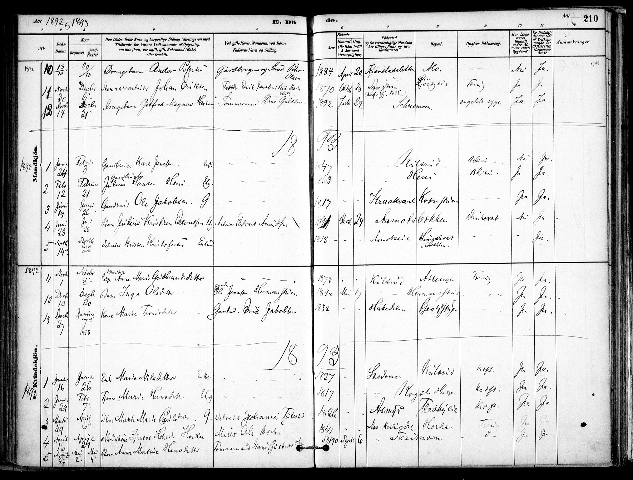 Gjerdrum prestekontor Kirkebøker, AV/SAO-A-10412b/F/Fb/L0001: Parish register (official) no. II 1, 1881-1921, p. 210