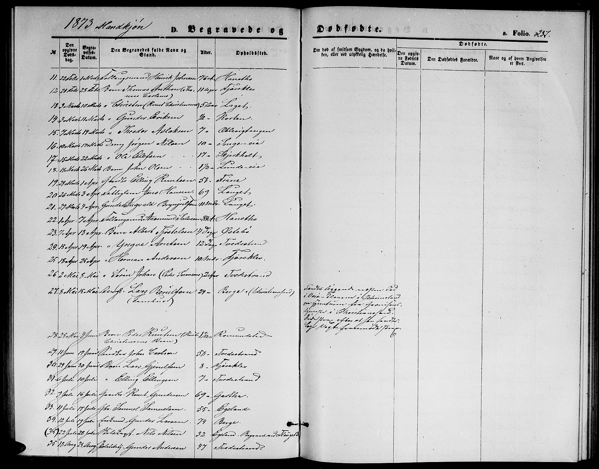 Holt sokneprestkontor, AV/SAK-1111-0021/F/Fb/L0009: Parish register (copy) no. B 9, 1871-1883, p. 237