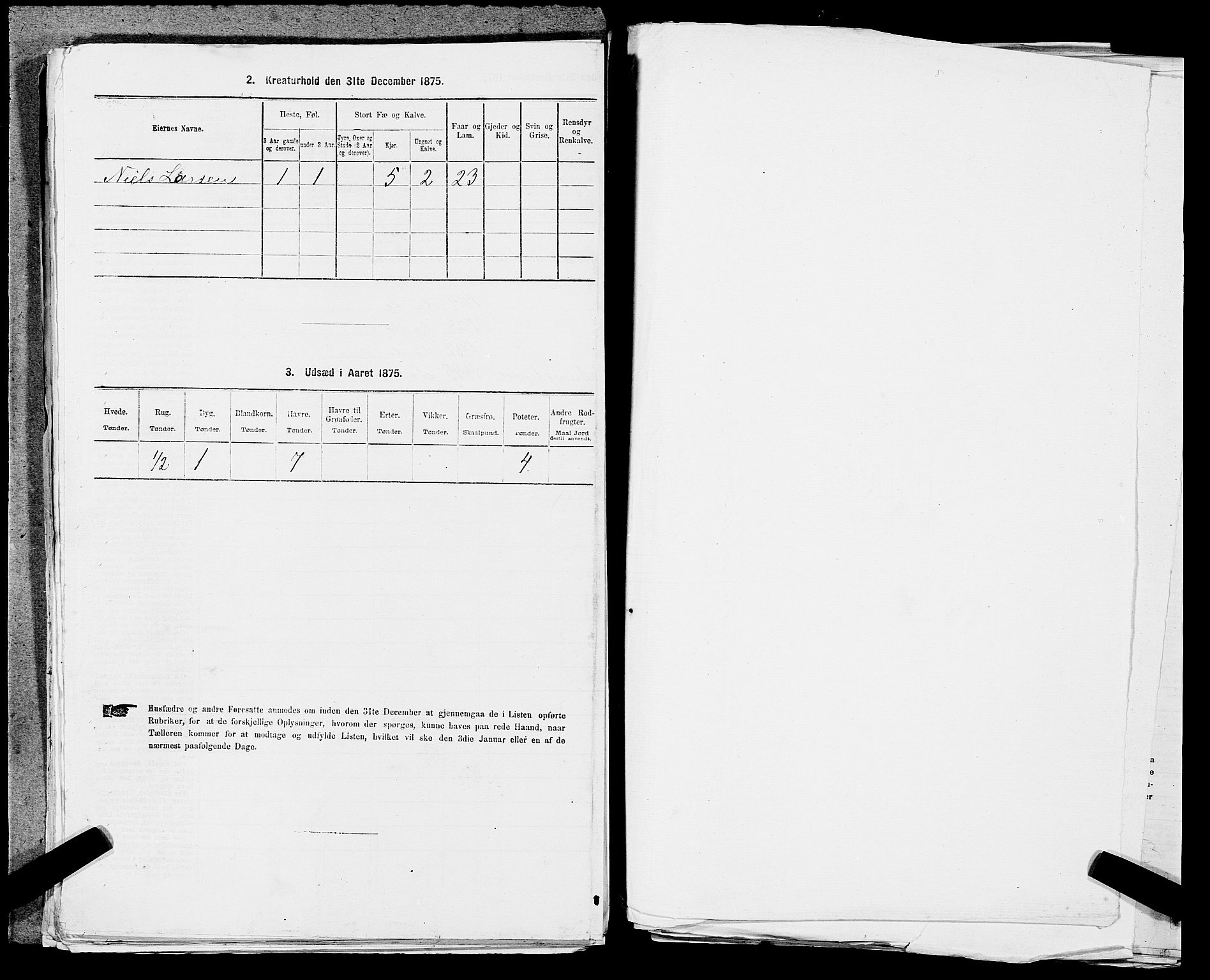 SAST, 1875 census for 1124P Håland, 1875, p. 868