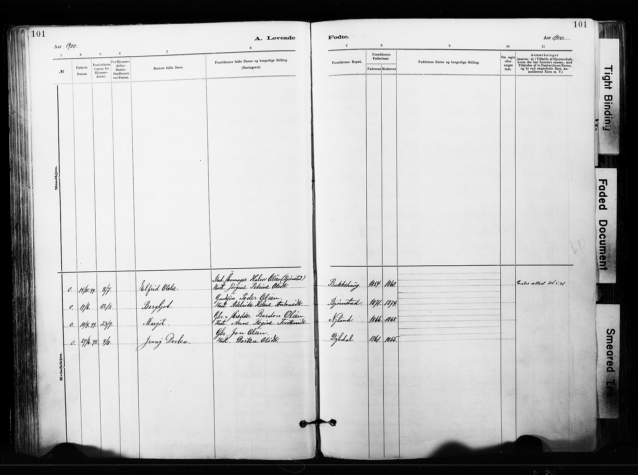 Målselv sokneprestembete, SATØ/S-1311/G/Ga/Gaa/L0007kirke: Parish register (official) no. 7, 1884-1903, p. 101