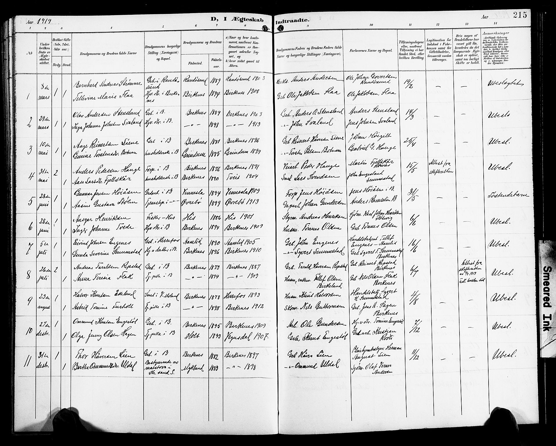 Birkenes sokneprestkontor, SAK/1111-0004/F/Fb/L0004: Parish register (copy) no. B 4, 1893-1930, p. 215