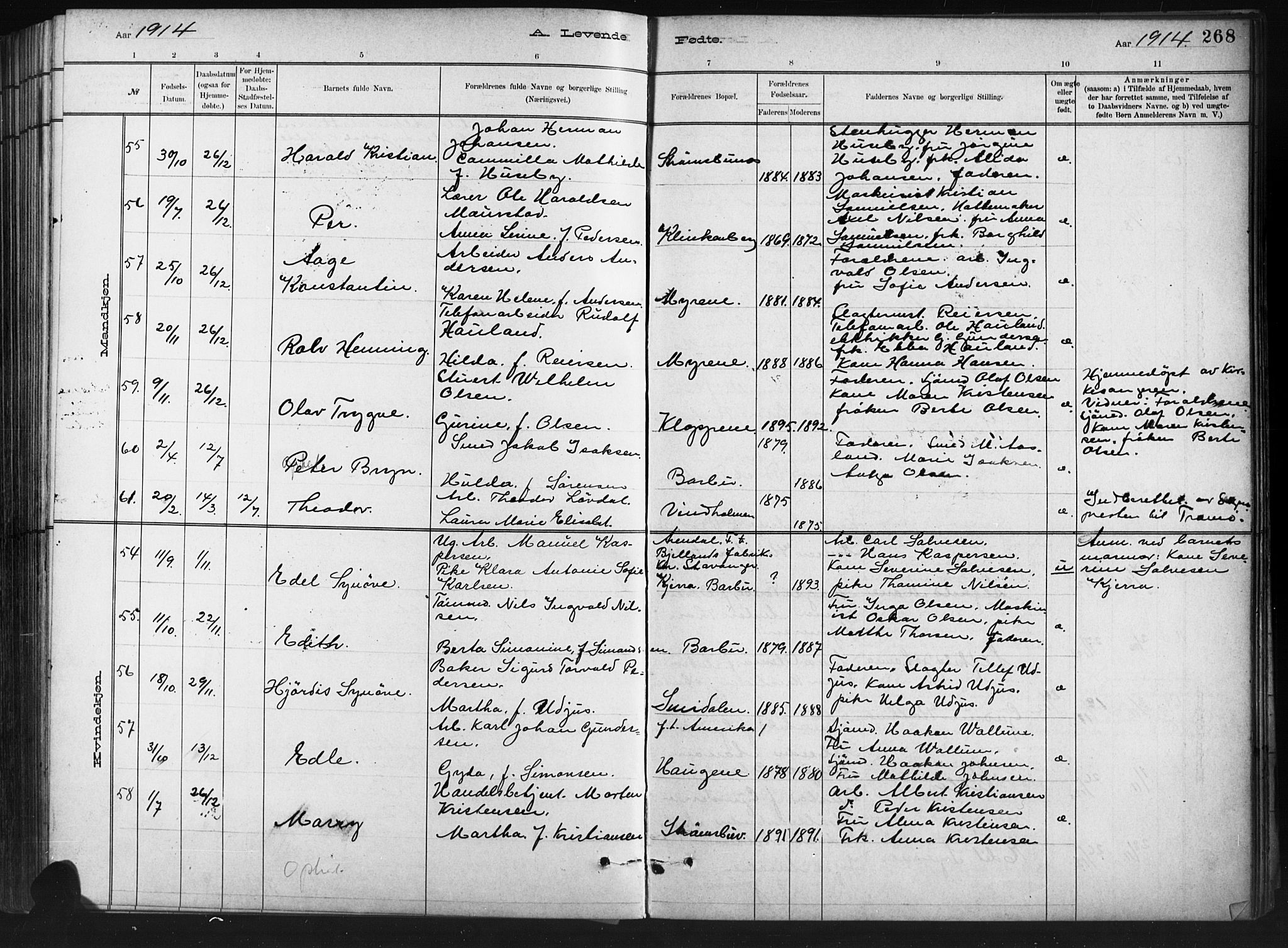 Barbu sokneprestkontor, SAK/1111-0003/F/Fb/L0002: Parish register (copy) no. B 2, 1890-1922, p. 268