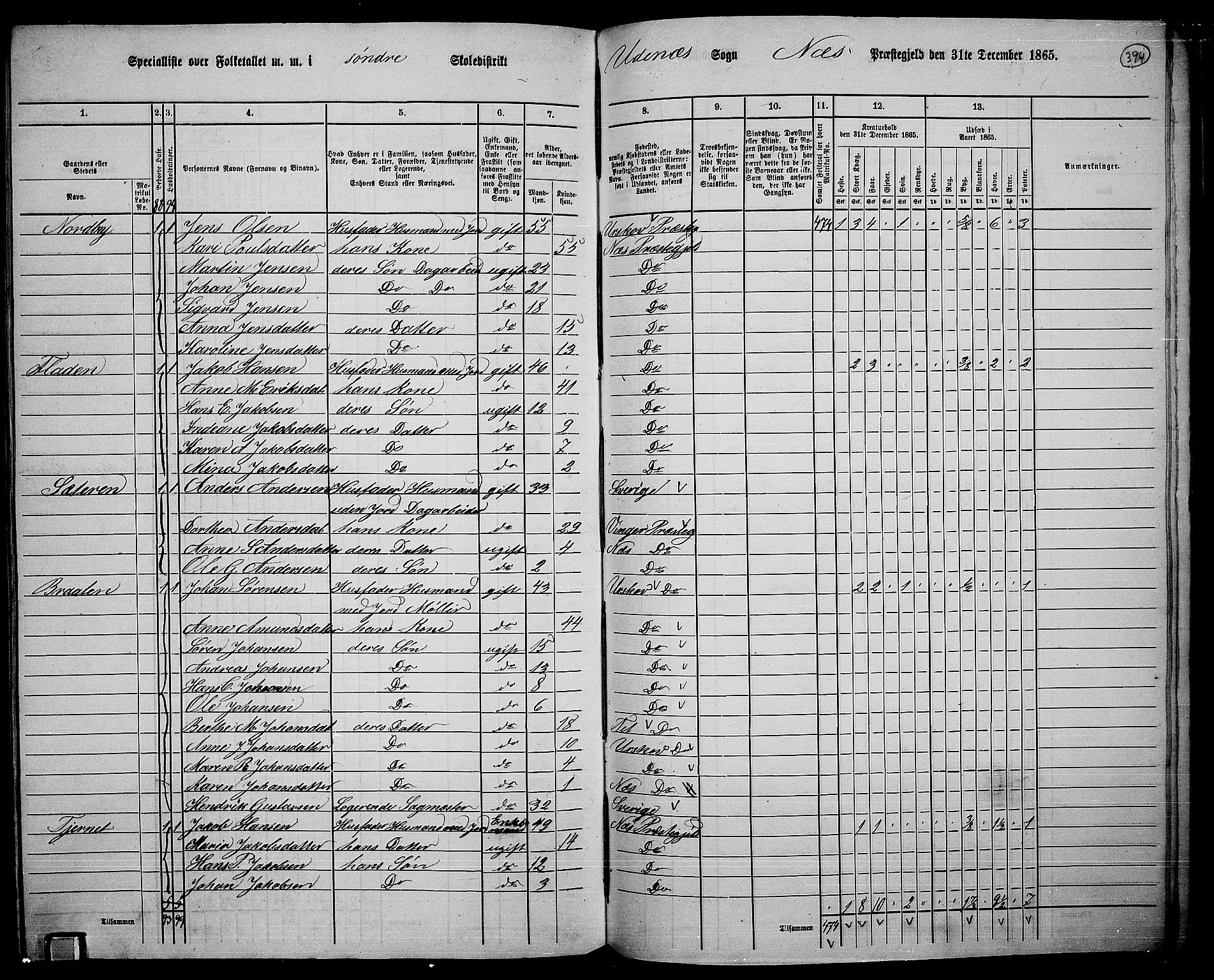 RA, 1865 census for Nes, 1865, p. 360