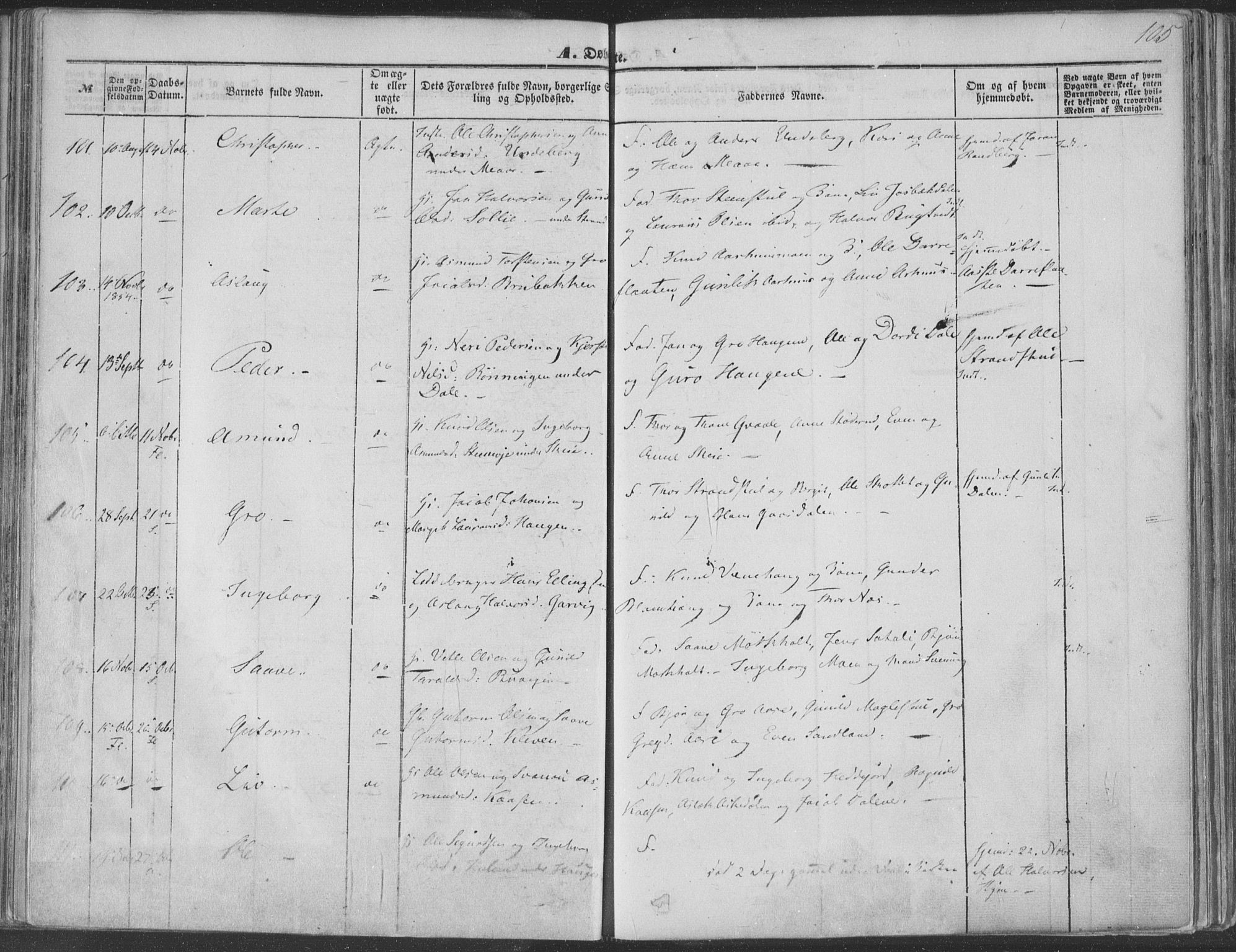 Seljord kirkebøker, SAKO/A-20/F/Fa/L012a: Parish register (official) no. I 12A, 1850-1865, p. 105
