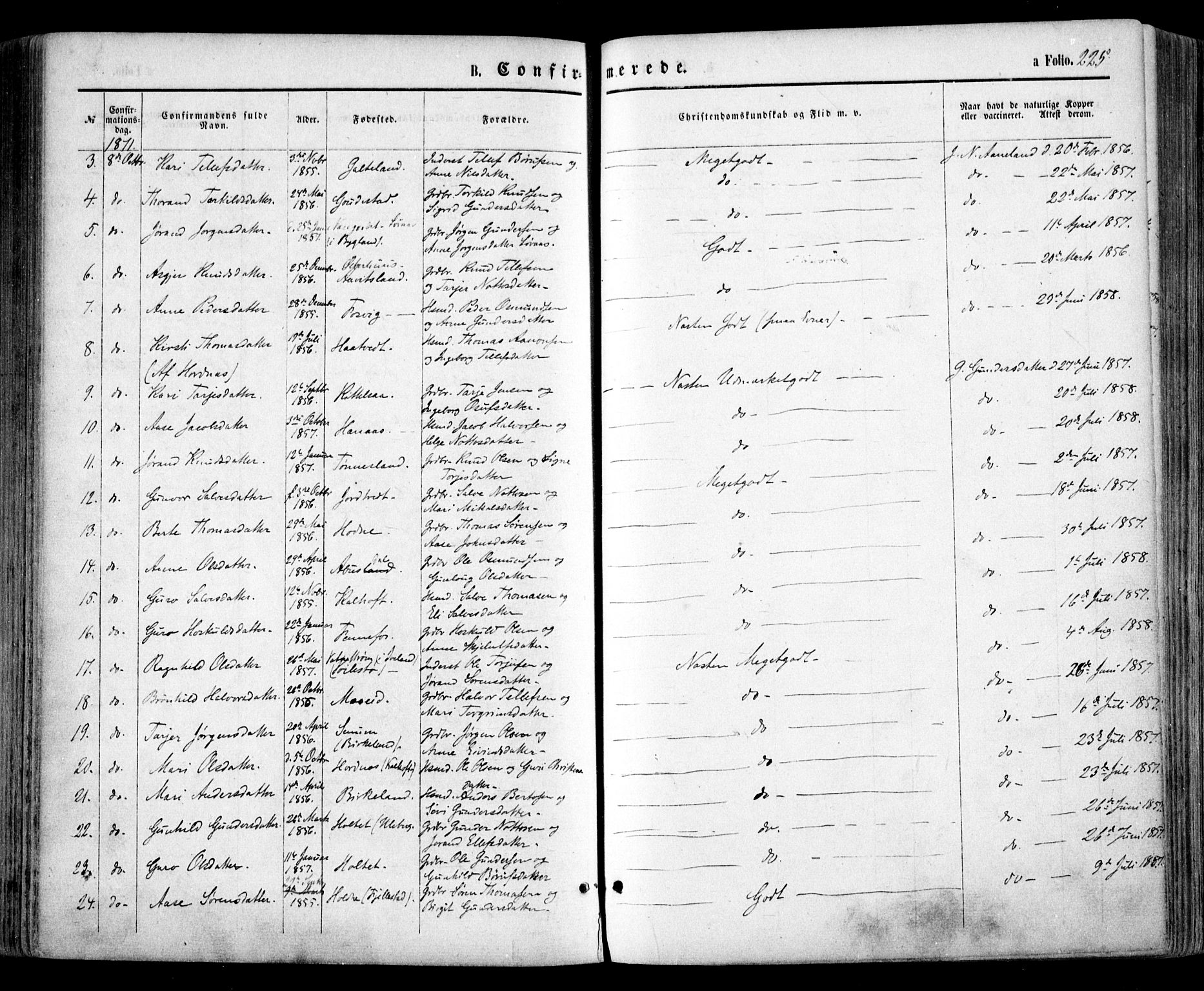 Evje sokneprestkontor, SAK/1111-0008/F/Fa/Faa/L0006: Parish register (official) no. A 6, 1866-1884, p. 225