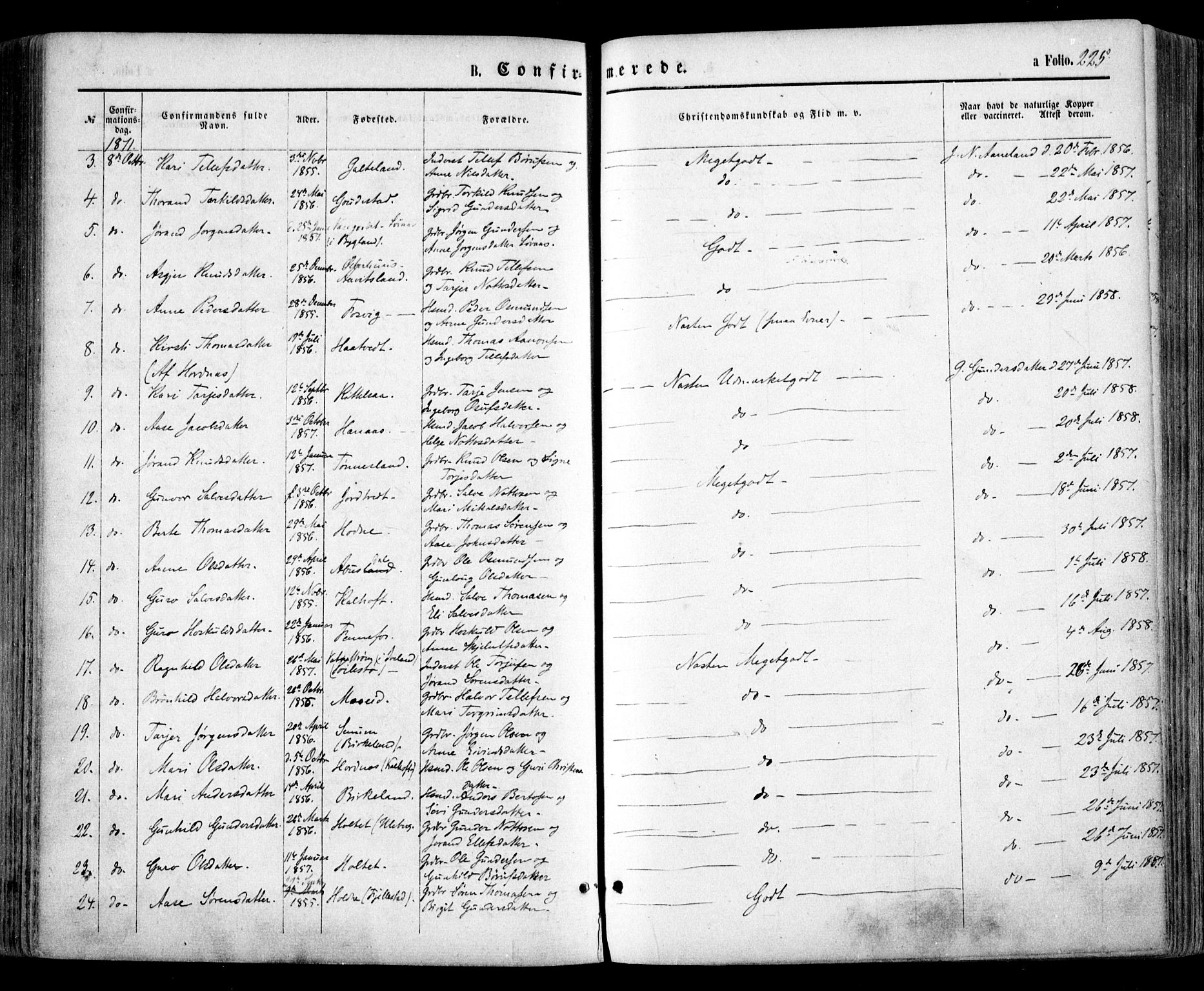 Evje sokneprestkontor, AV/SAK-1111-0008/F/Fa/Faa/L0006: Parish register (official) no. A 6, 1866-1884, p. 225