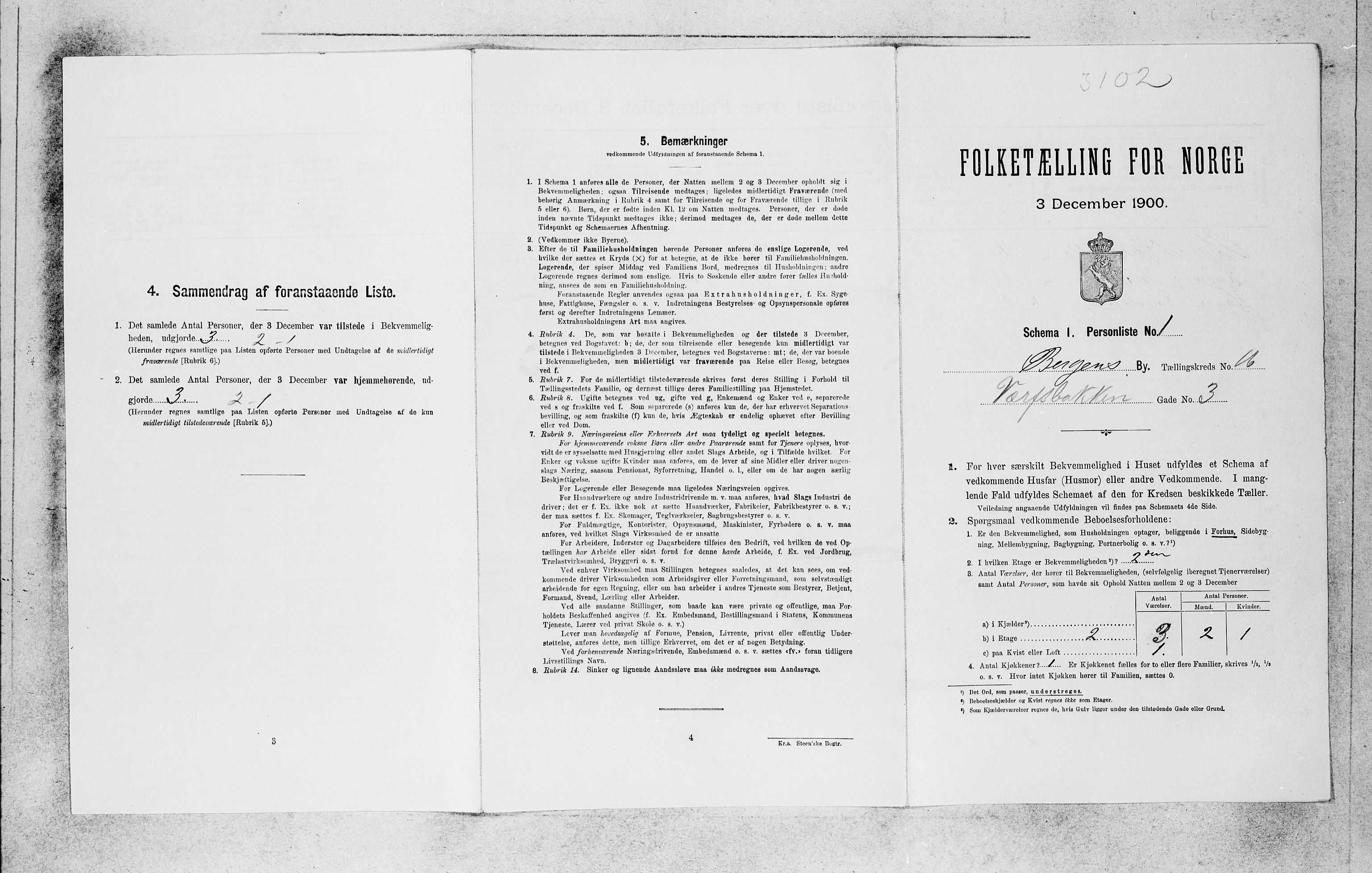SAB, 1900 census for Bergen, 1900, p. 3039