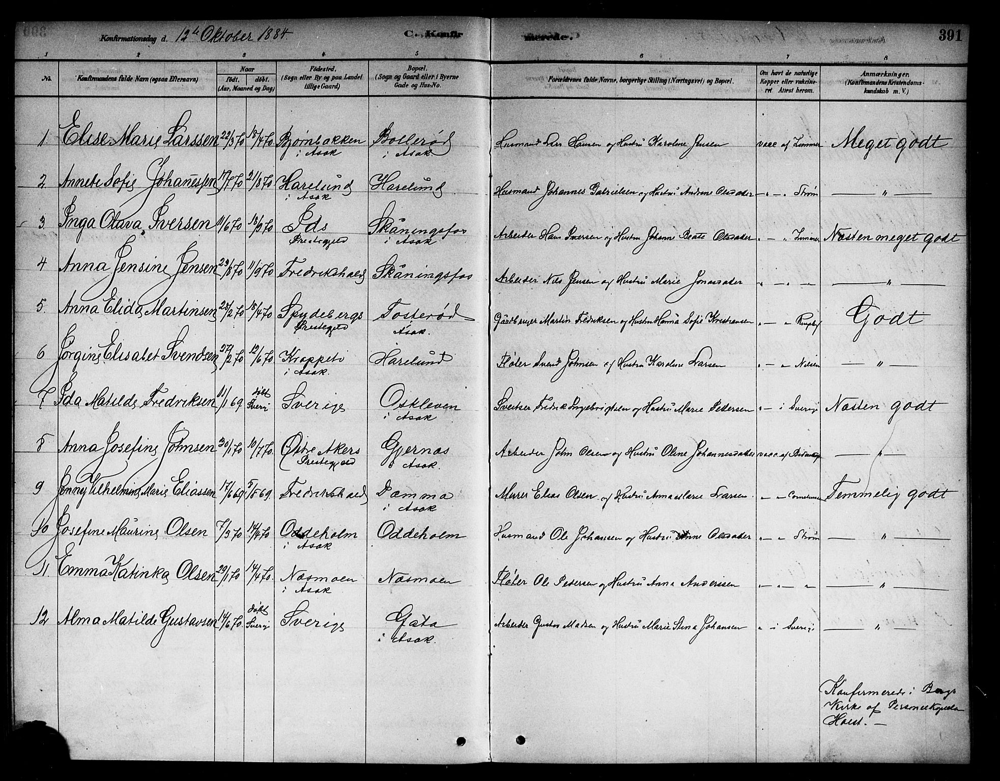 Berg prestekontor Kirkebøker, AV/SAO-A-10902/F/Fb/L0001: Parish register (official) no. II 1, 1878-1887, p. 391