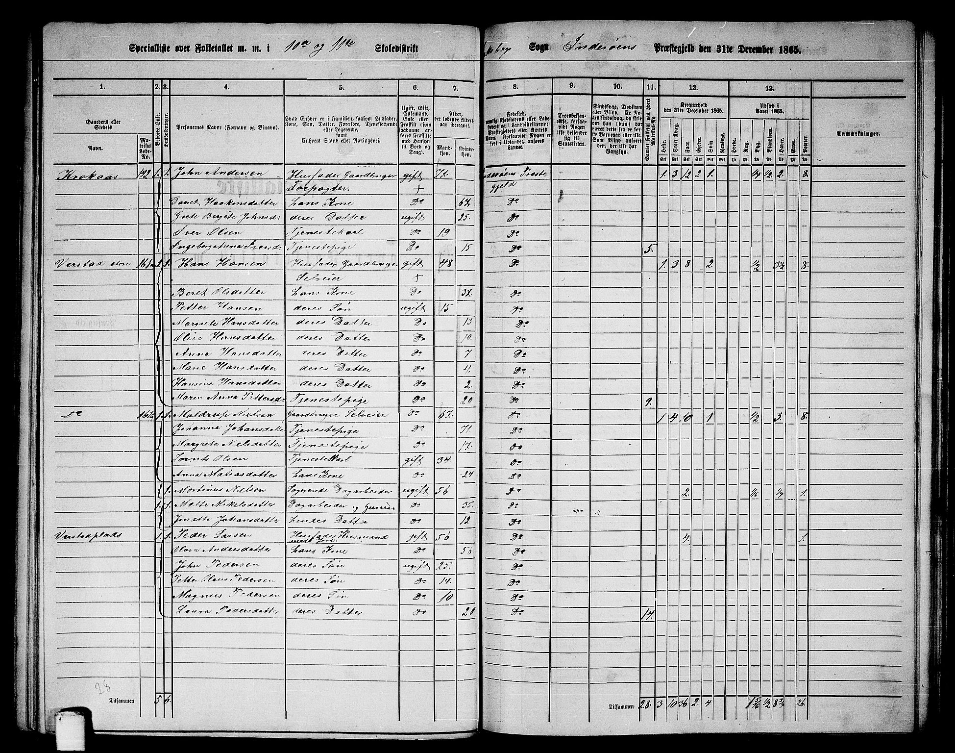 RA, 1865 census for Inderøy, 1865, p. 132