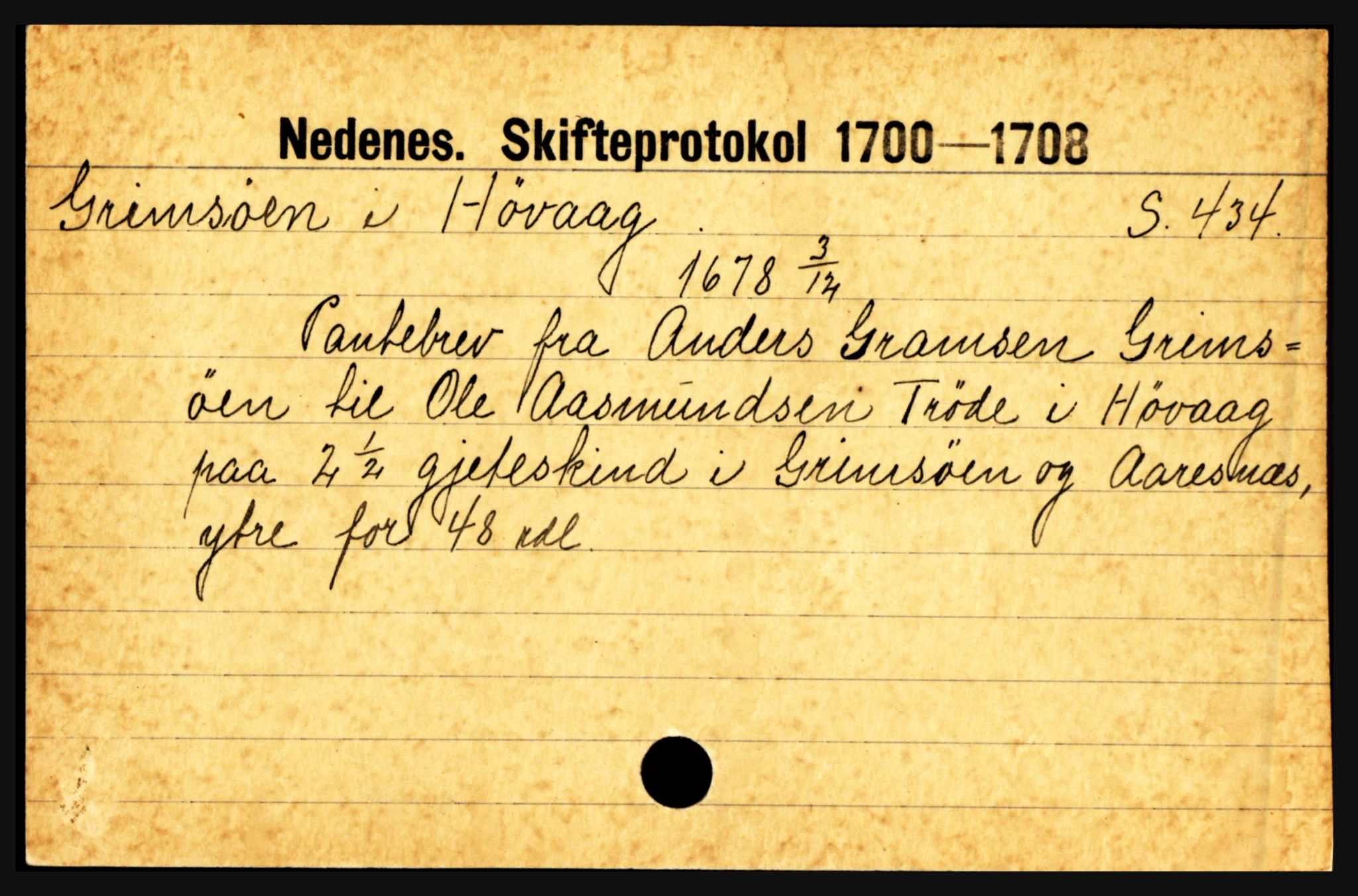 Nedenes sorenskriveri før 1824, AV/SAK-1221-0007/H, p. 10019