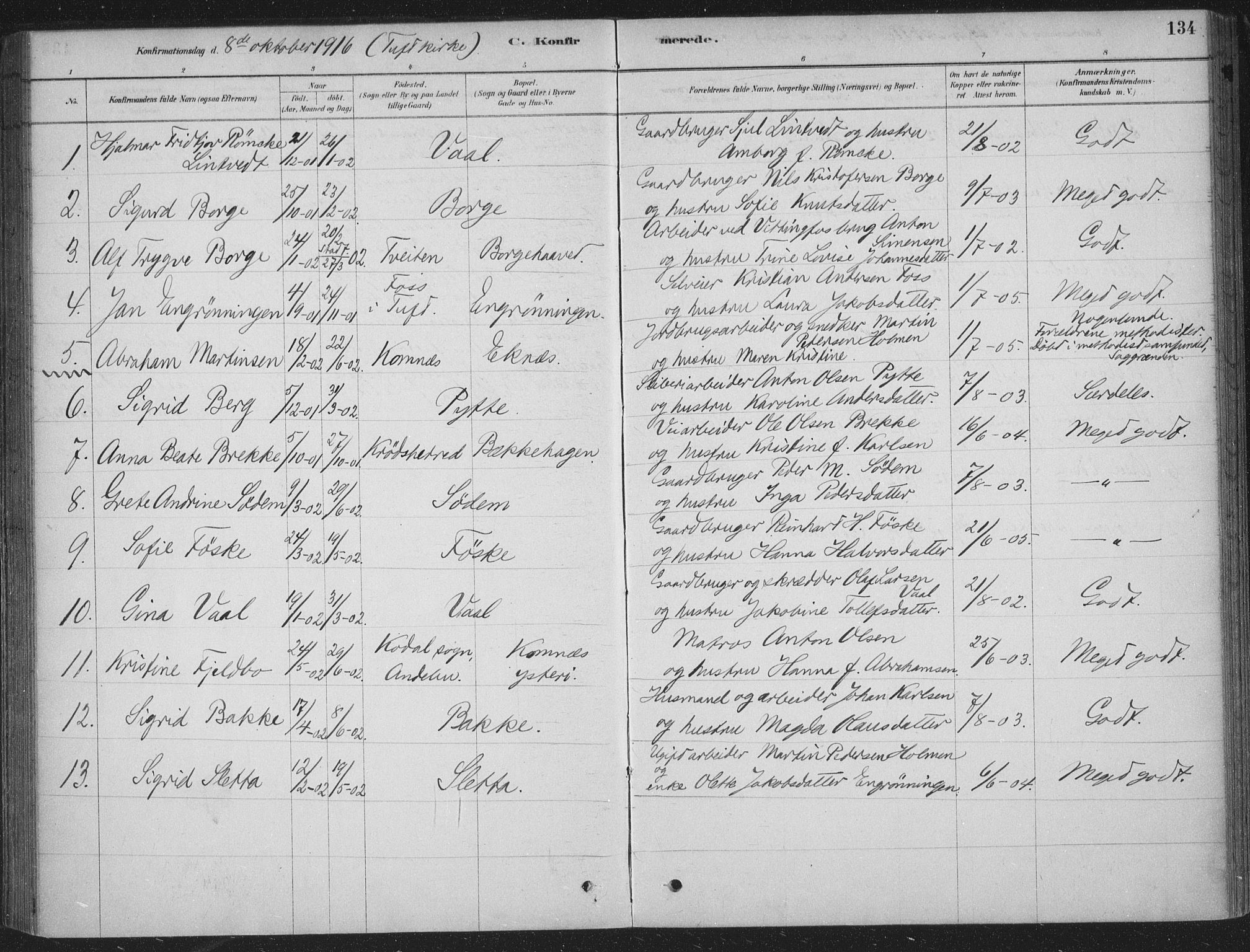 Sandsvær kirkebøker, AV/SAKO-A-244/F/Fe/L0001: Parish register (official) no. V 1, 1878-1936, p. 134