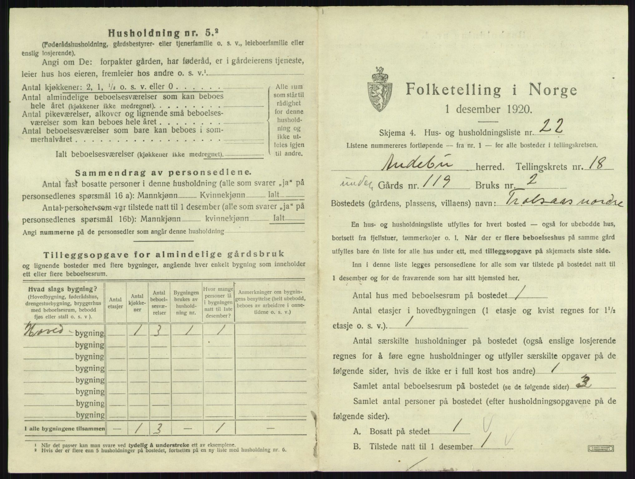 SAKO, 1920 census for Andebu, 1920, p. 1022