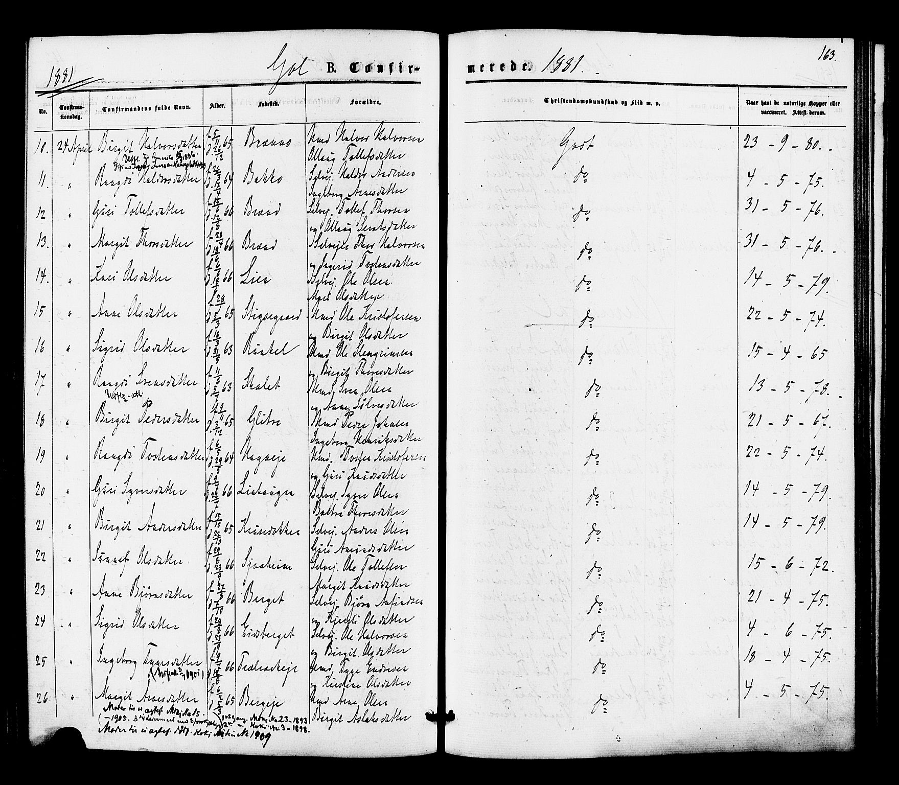 Gol kirkebøker, SAKO/A-226/F/Fa/L0004: Parish register (official) no. I 4, 1876-1886, p. 163