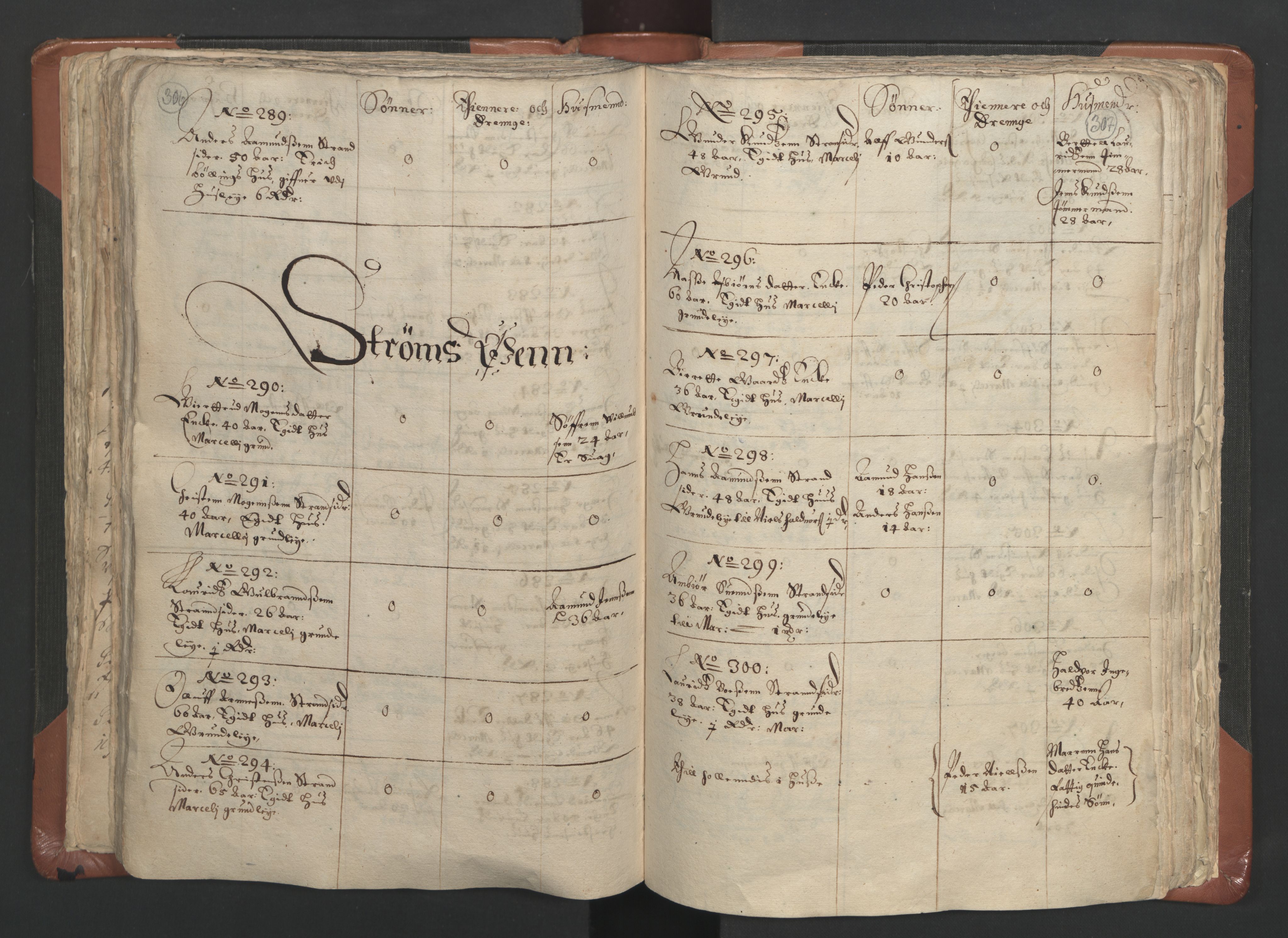 RA, Vicar's Census 1664-1666, no. 9: Bragernes deanery, 1664-1666, p. 306-307