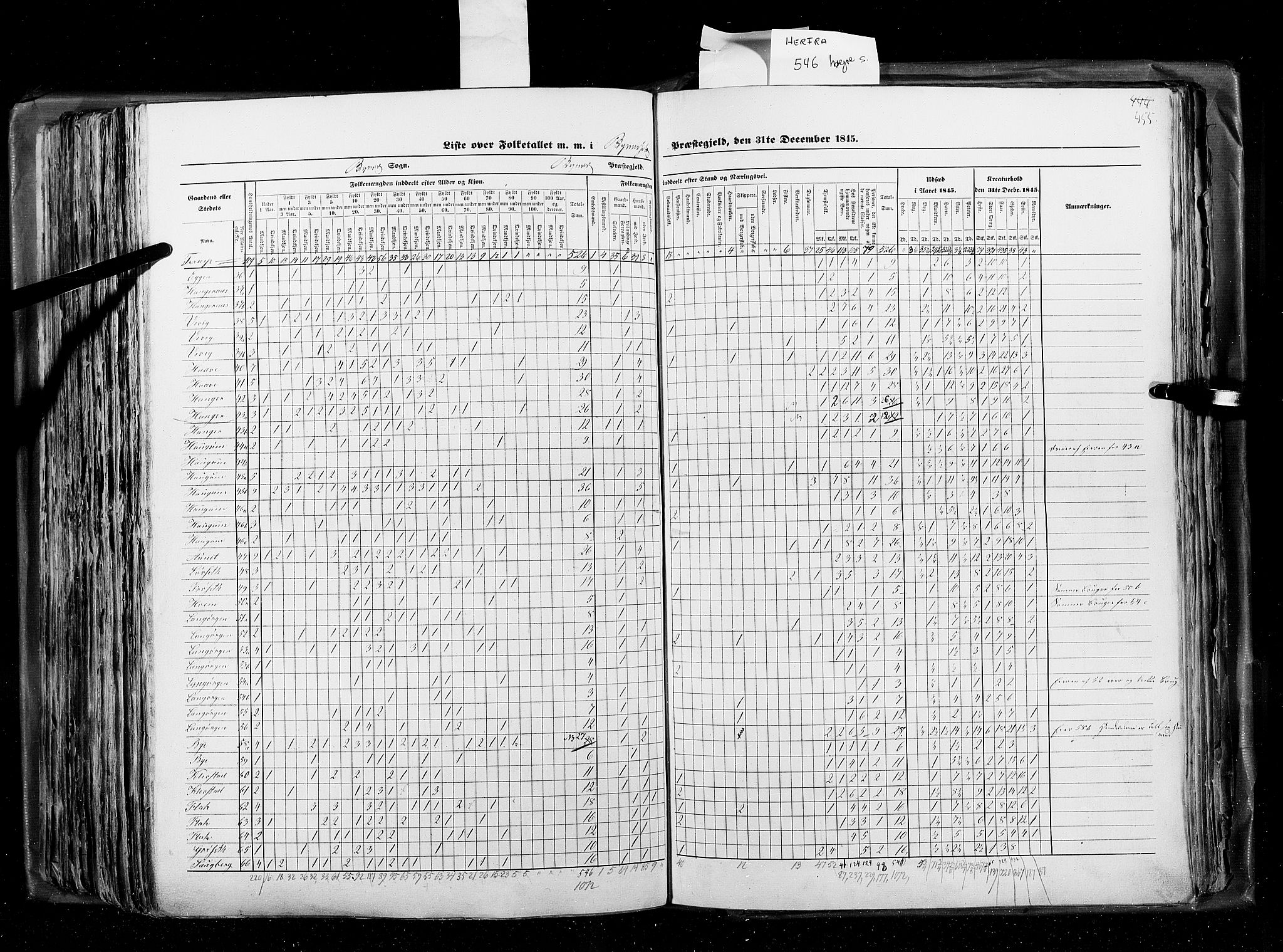 RA, Census 1845, vol. 8: Romsdal amt og Søndre Trondhjems amt, 1845, p. 455