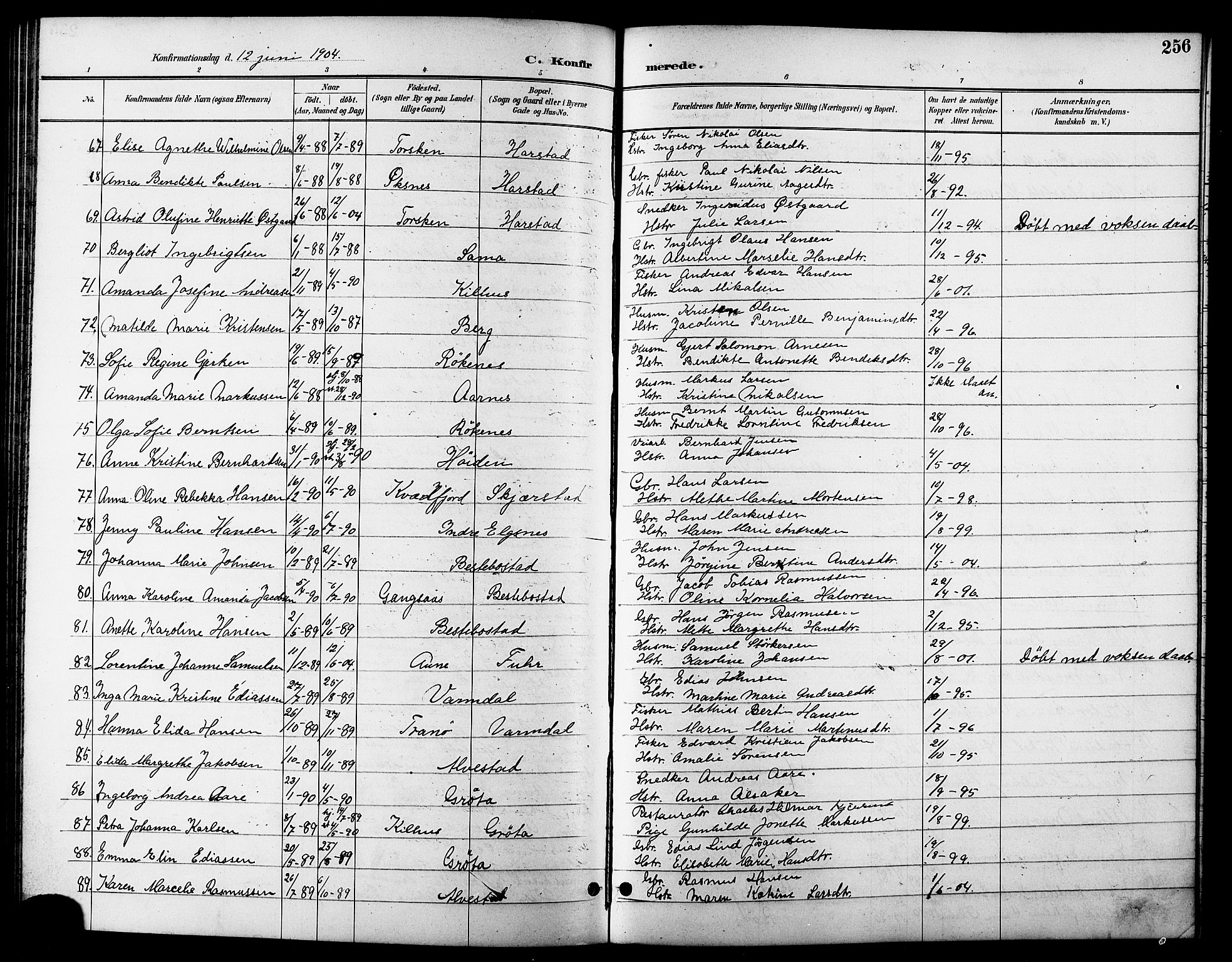 Trondenes sokneprestkontor, AV/SATØ-S-1319/H/Hb/L0011klokker: Parish register (copy) no. 11, 1891-1906, p. 256
