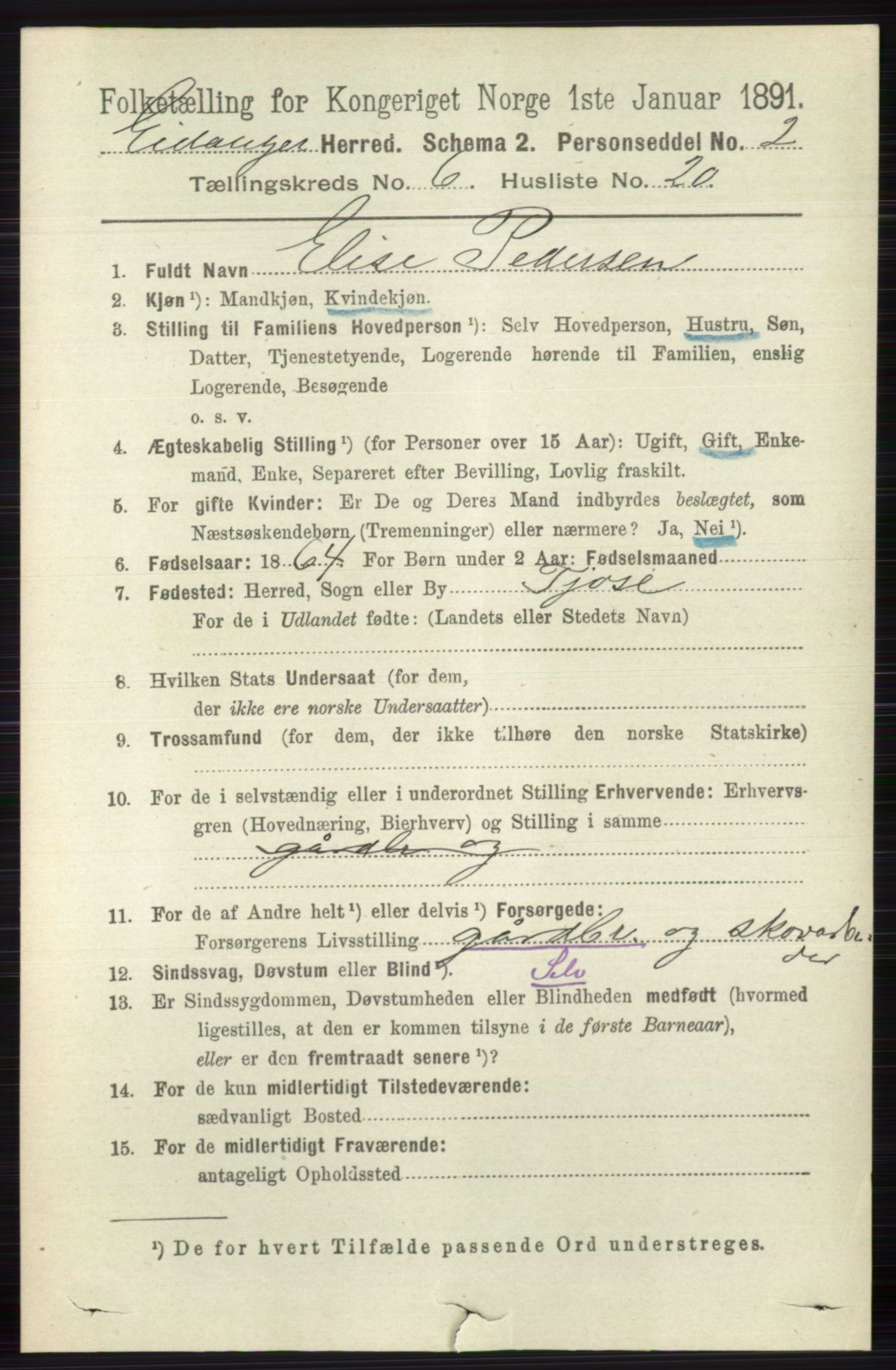 RA, 1891 census for 0813 Eidanger, 1891, p. 2715