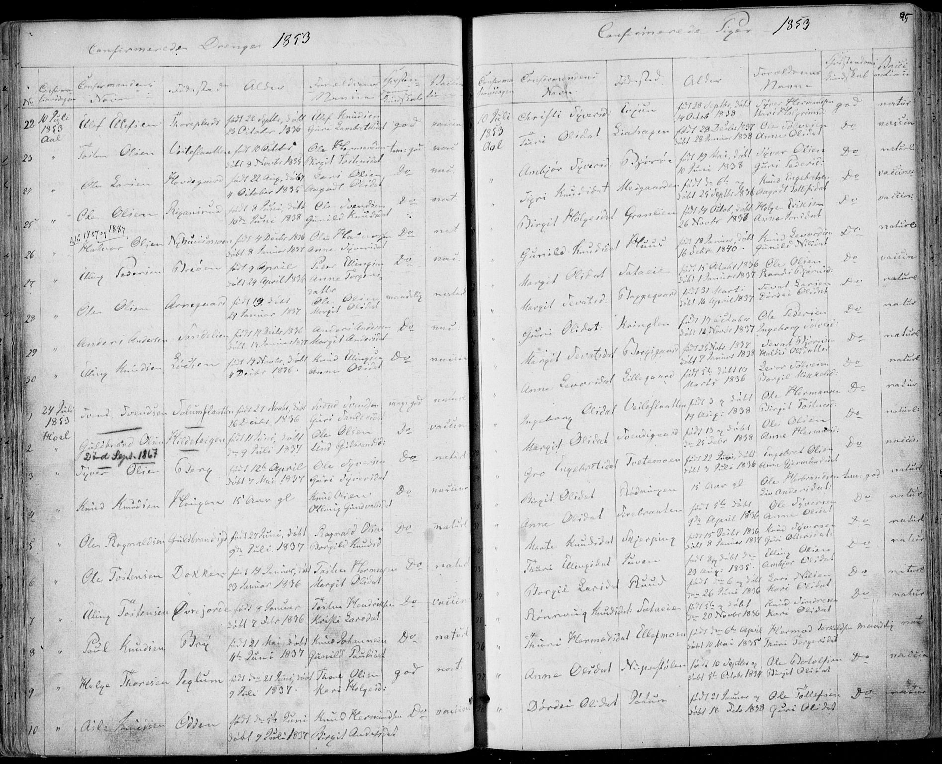 Ål kirkebøker, AV/SAKO-A-249/F/Fa/L0006: Parish register (official) no. I 6, 1849-1864, p. 95