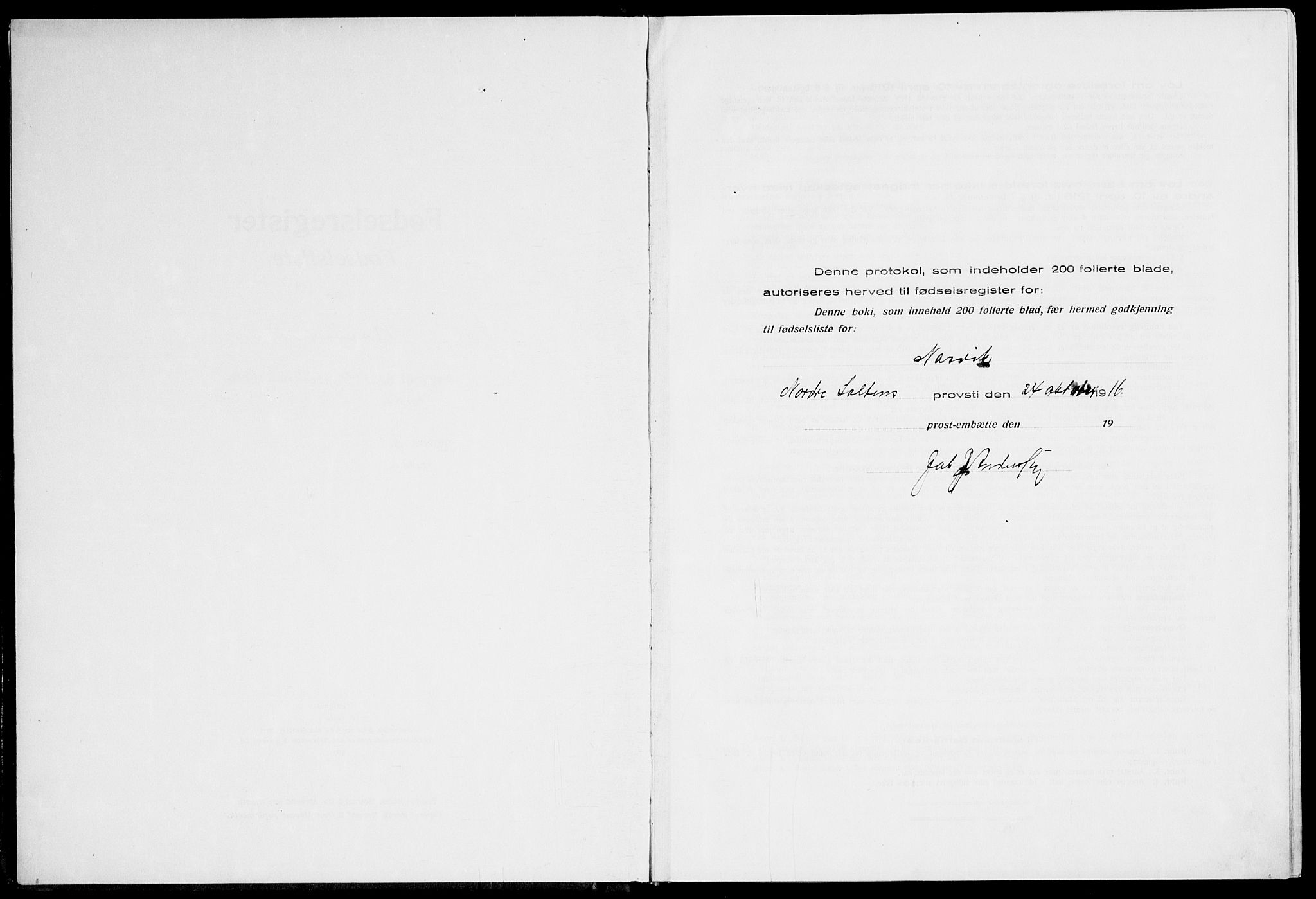 Ministerialprotokoller, klokkerbøker og fødselsregistre - Nordland, AV/SAT-A-1459/871/L1013: Birth register no. 871.II.4.1, 1916-1924