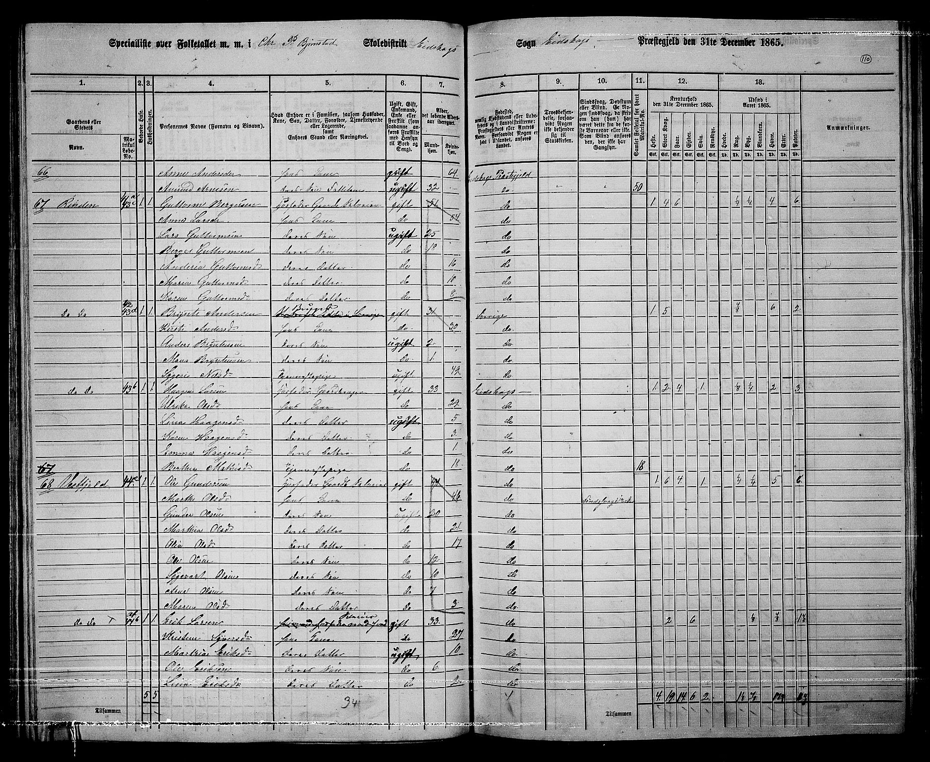 RA, 1865 census for Eidskog, 1865, p. 97