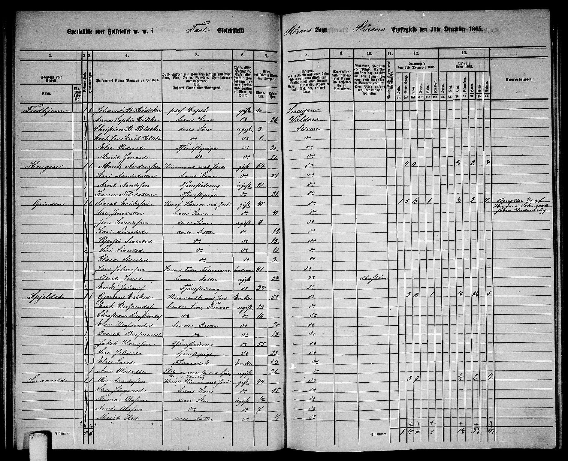 RA, 1865 census for Støren, 1865, p. 100