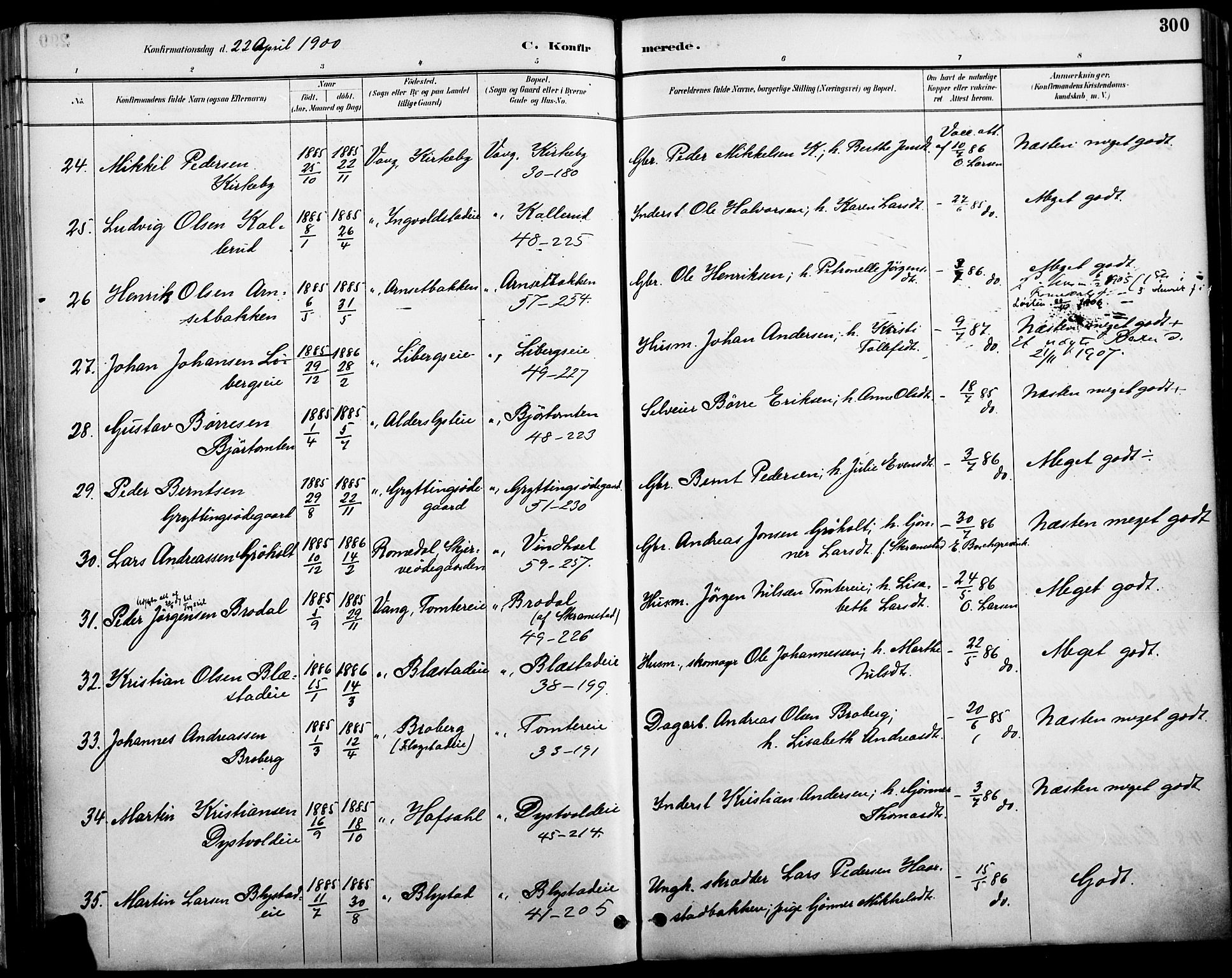 Vang prestekontor, Hedmark, AV/SAH-PREST-008/H/Ha/Haa/L0019A: Parish register (official) no. 19, 1886-1900, p. 300