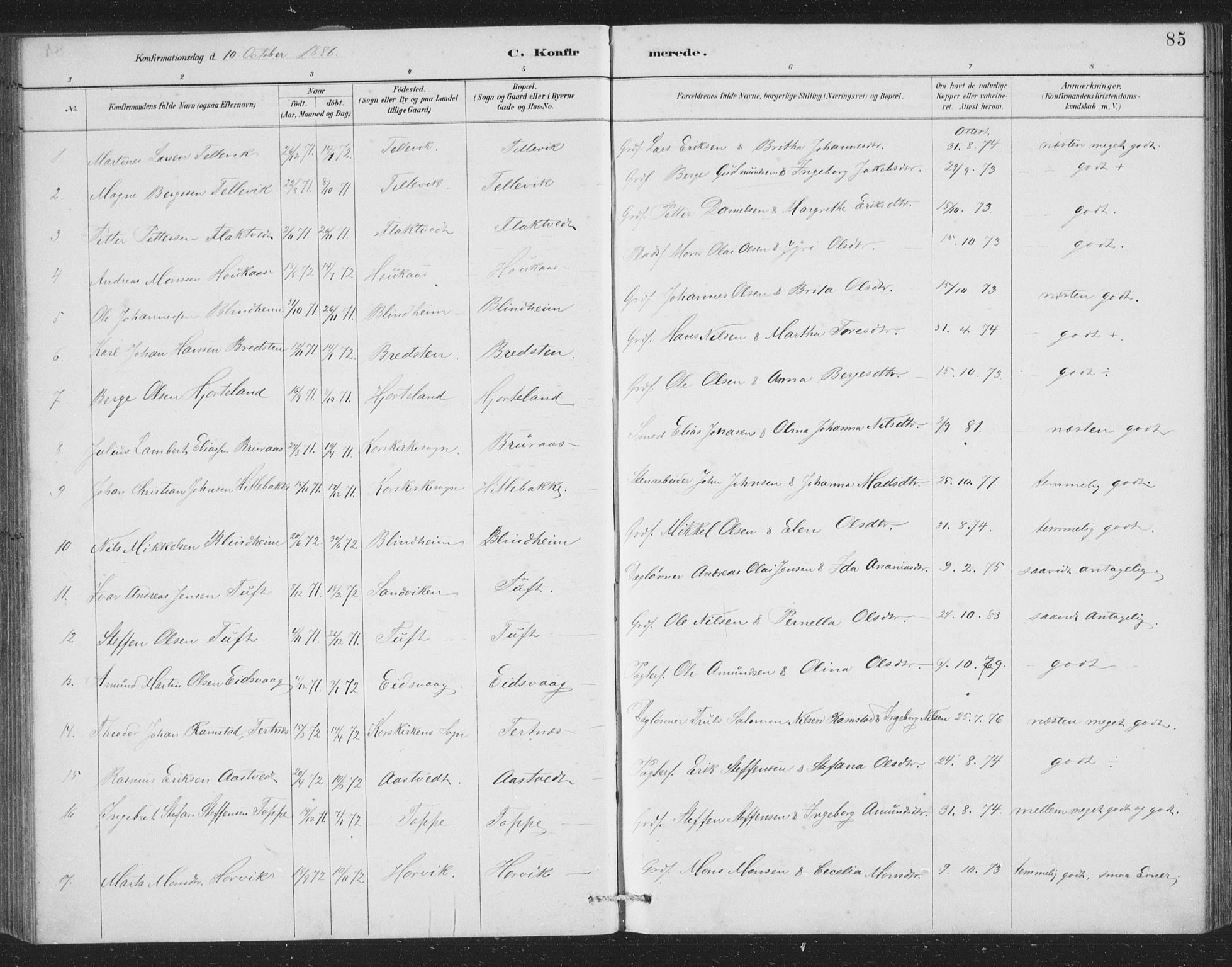 Åsane sokneprestembete, AV/SAB-A-79401/H/Hab: Parish register (copy) no. A 2, 1885-1898, p. 85
