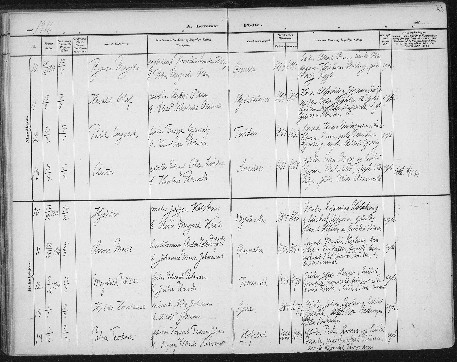 Ministerialprotokoller, klokkerbøker og fødselsregistre - Nord-Trøndelag, AV/SAT-A-1458/723/L0246: Parish register (official) no. 723A15, 1900-1917, p. 85