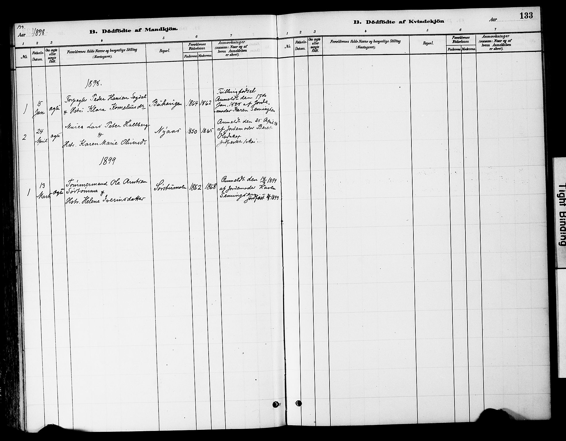 Tynset prestekontor, SAH/PREST-058/H/Ha/Haa/L0022: Parish register (official) no. 22, 1880-1899, p. 133