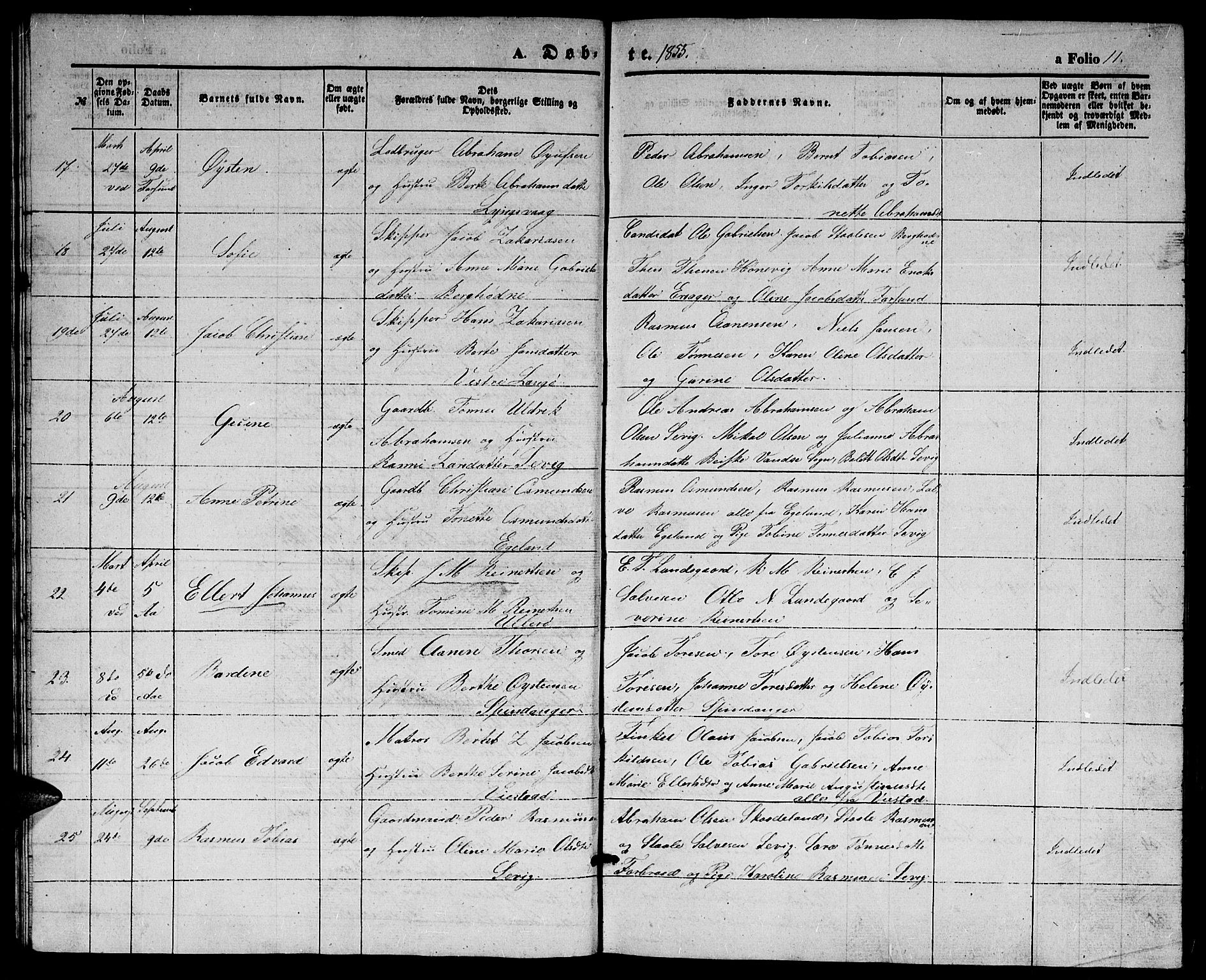 Herad sokneprestkontor, AV/SAK-1111-0018/F/Fb/Fbb/L0002: Parish register (copy) no. B 2, 1853-1871, p. 11