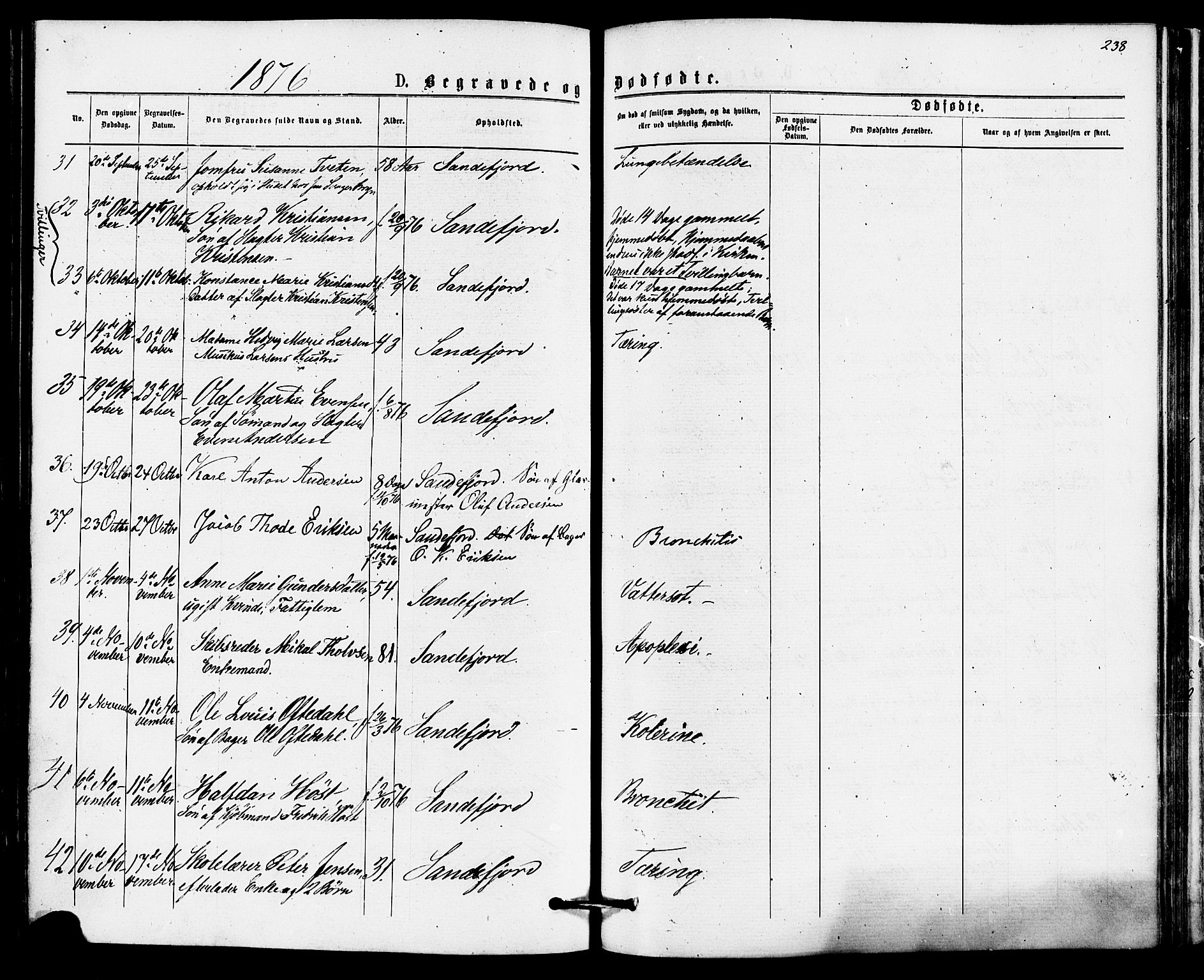 Sandefjord kirkebøker, AV/SAKO-A-315/F/Fa/L0001: Parish register (official) no. 1, 1873-1879, p. 238