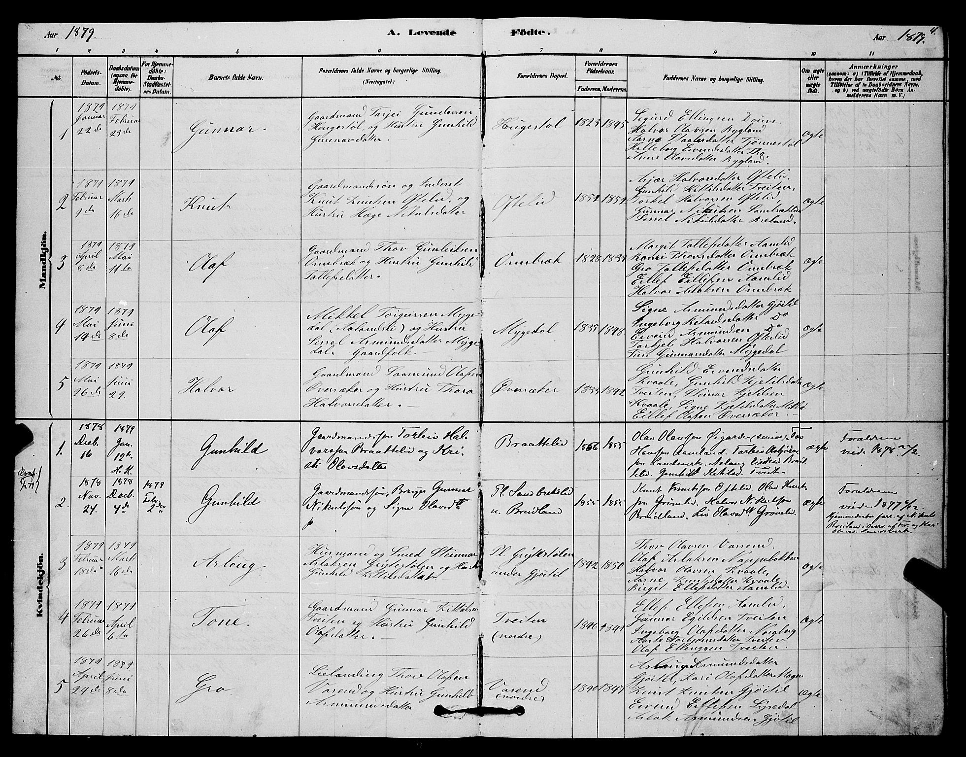 Lårdal kirkebøker, SAKO/A-284/G/Gc/L0003: Parish register (copy) no. III 3, 1878-1890, p. 4