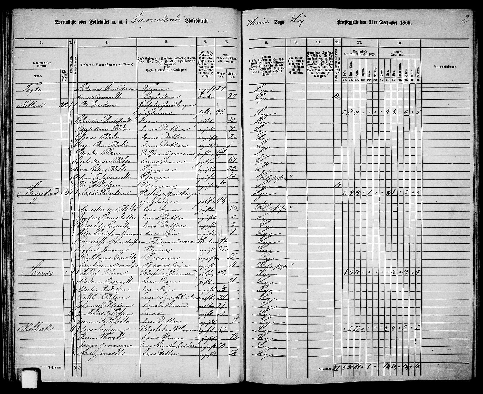 RA, 1865 census for Lye, 1865, p. 34