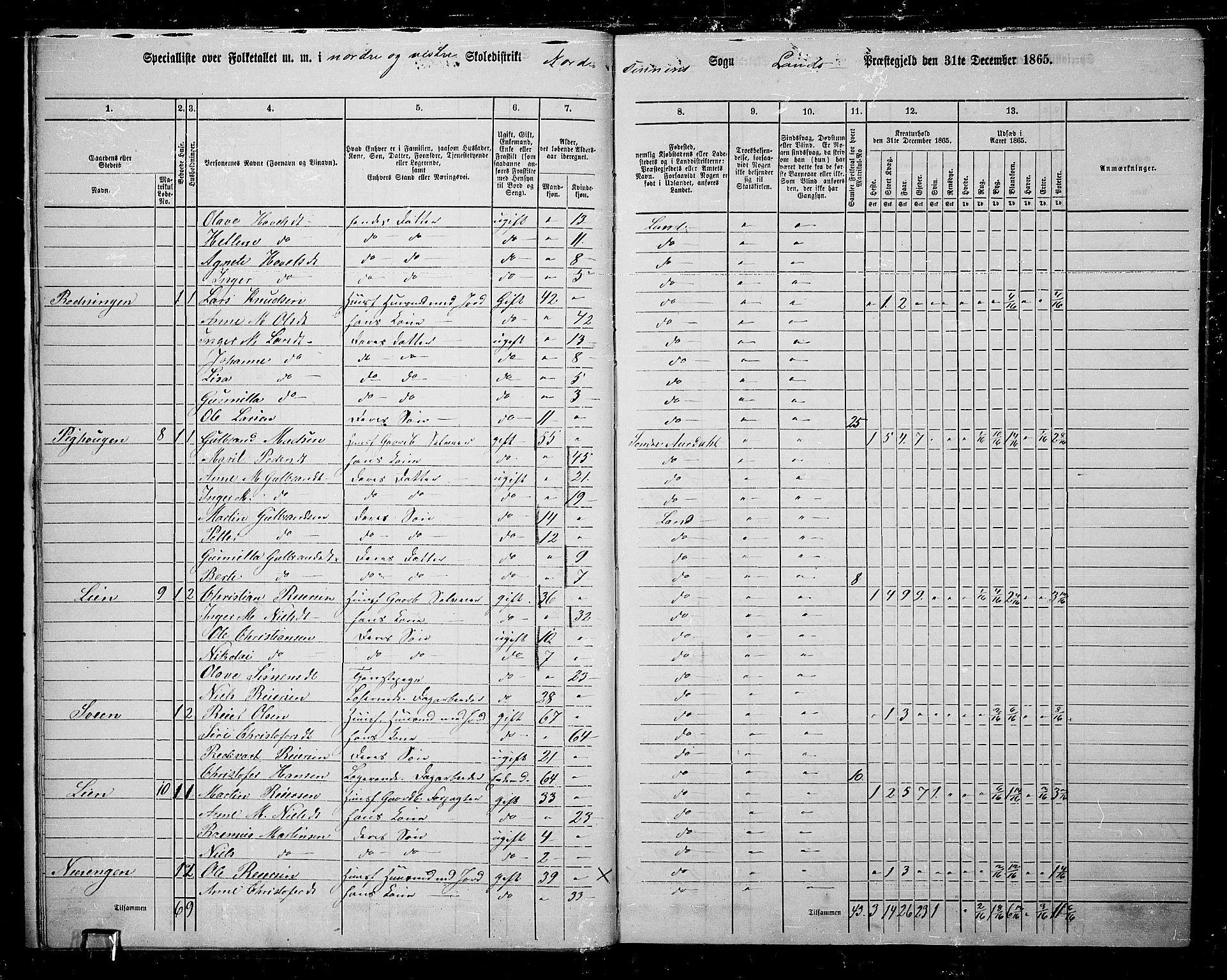 RA, 1865 census for Land, 1865, p. 19