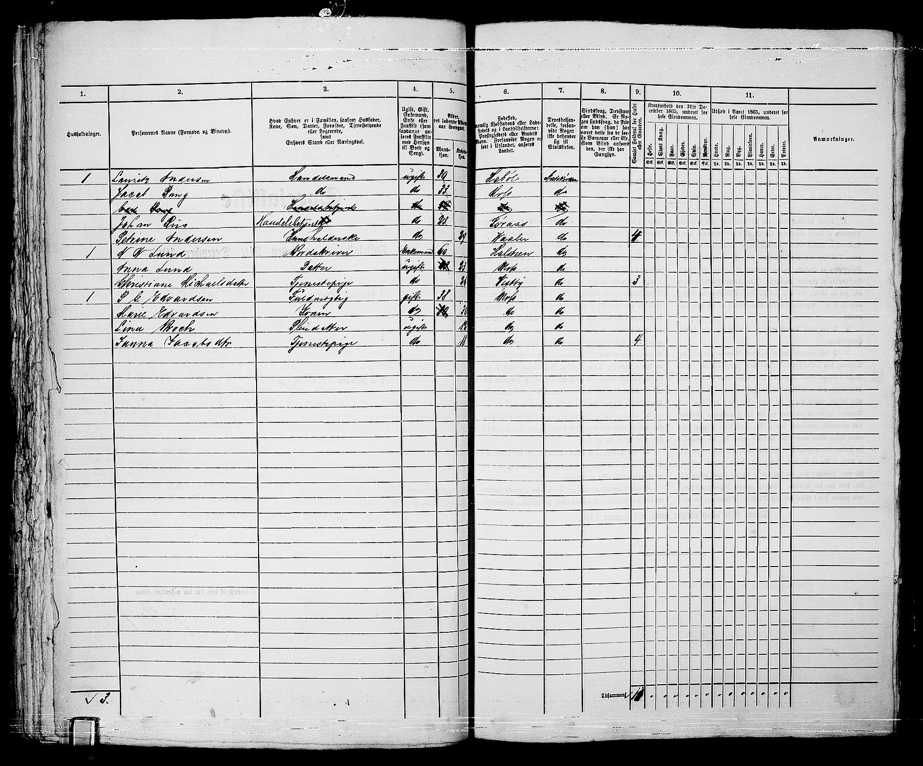 RA, 1865 census for Moss/Moss, 1865, p. 456